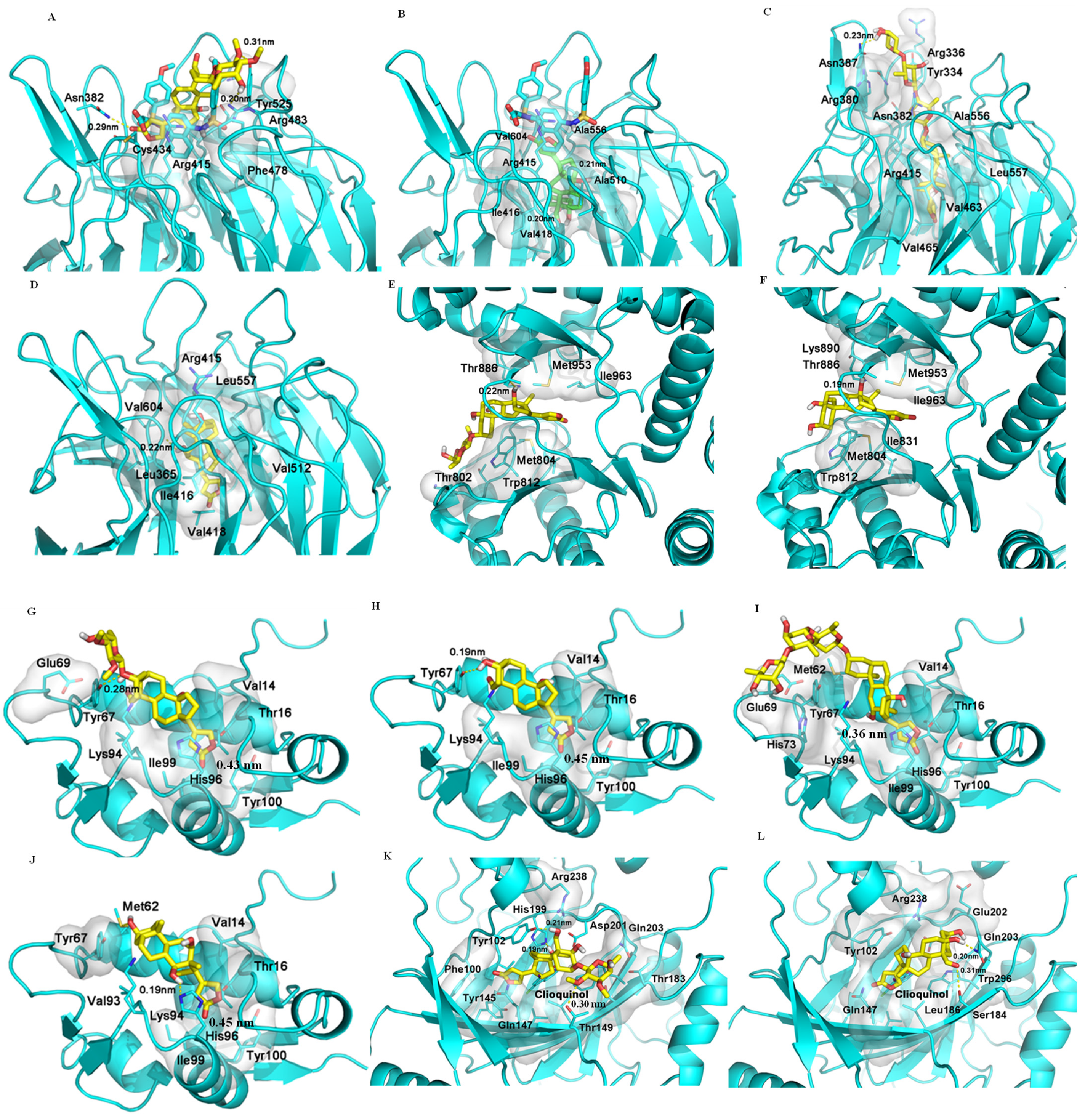 Molecules 26 05675 g002