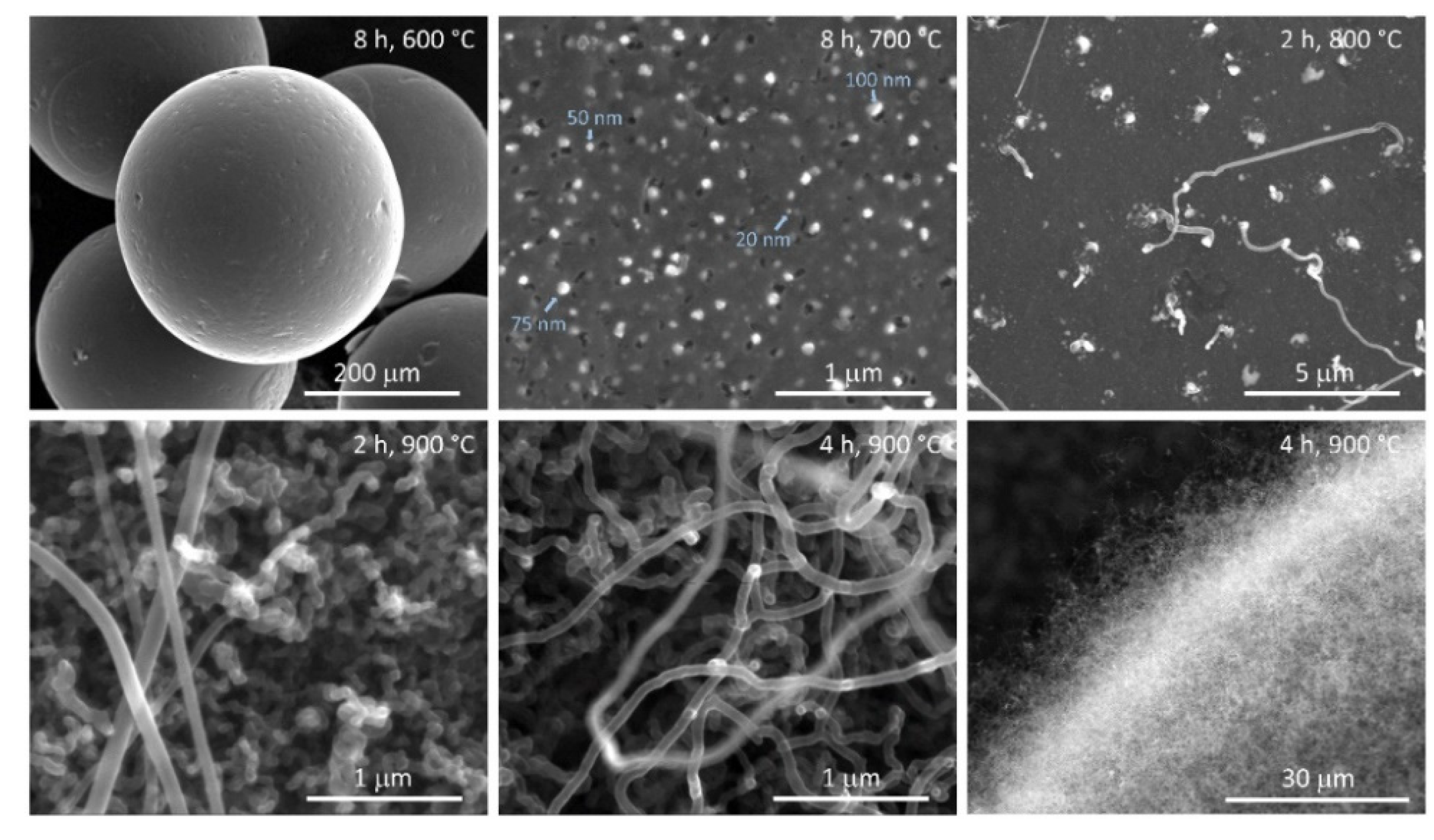 Molecules 26 05680 g002