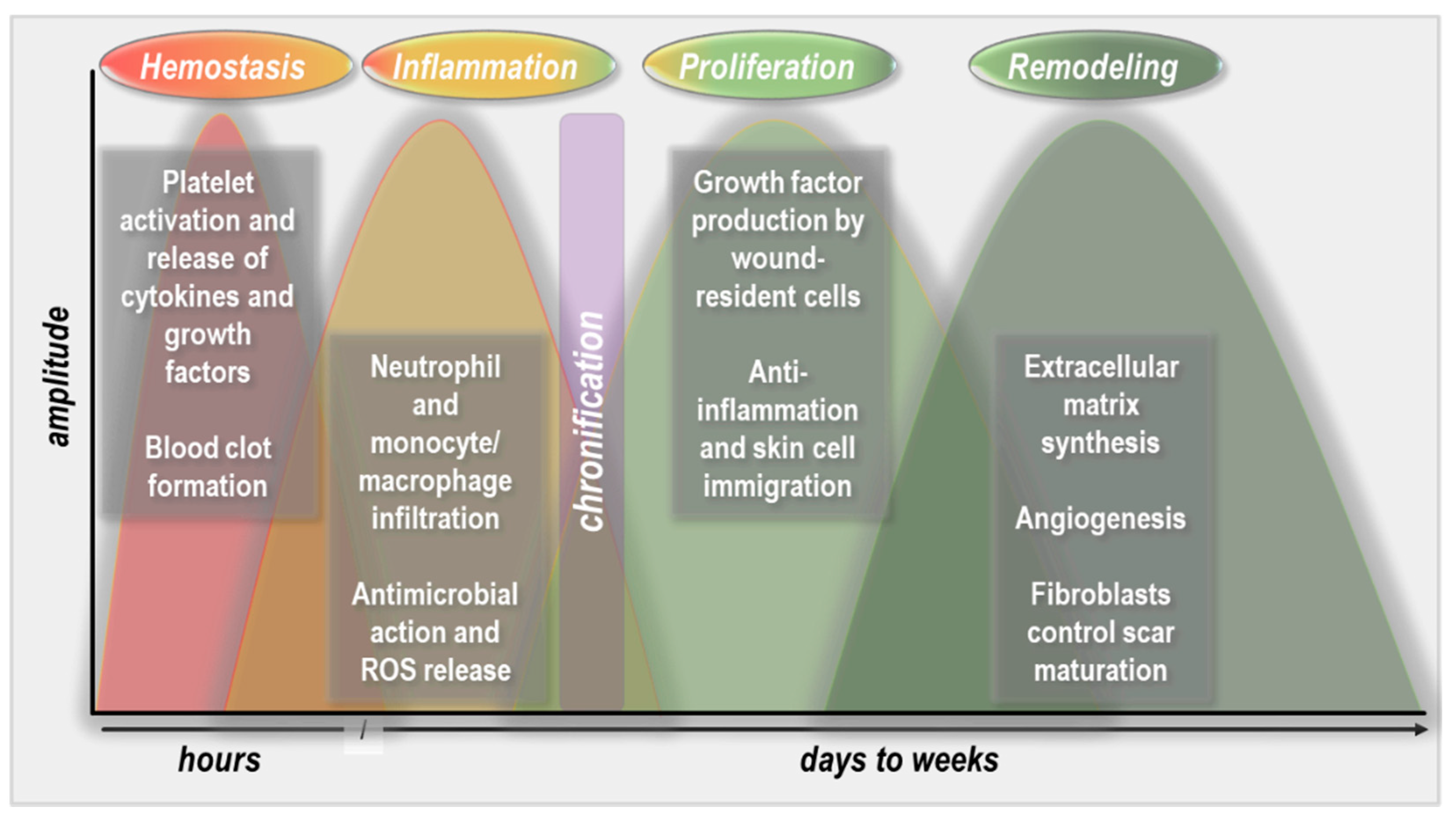 Molecules 26 05682 g001