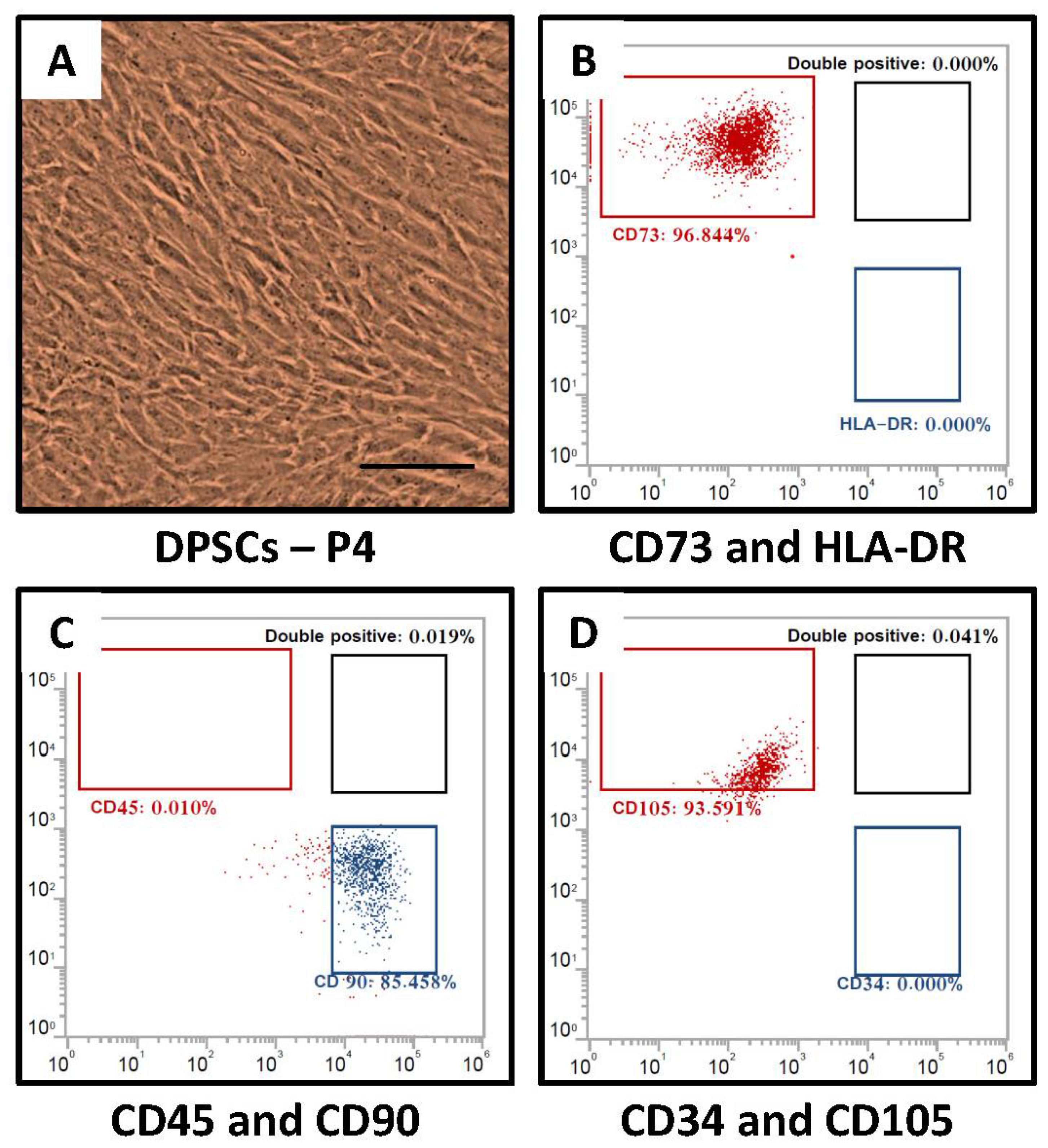 Molecules 26 05683 g001