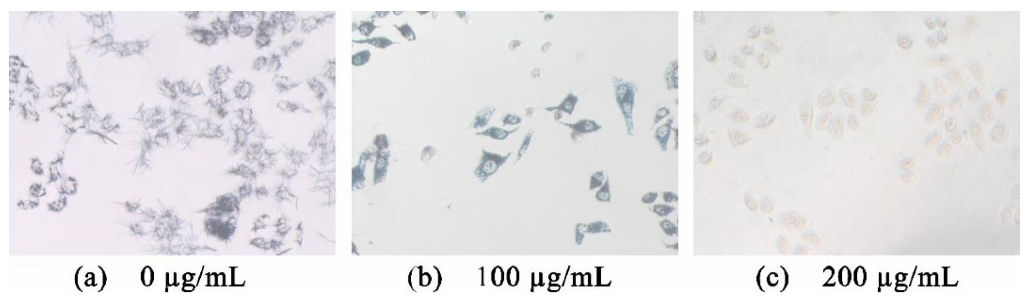Molecules 26 05686 g003 550