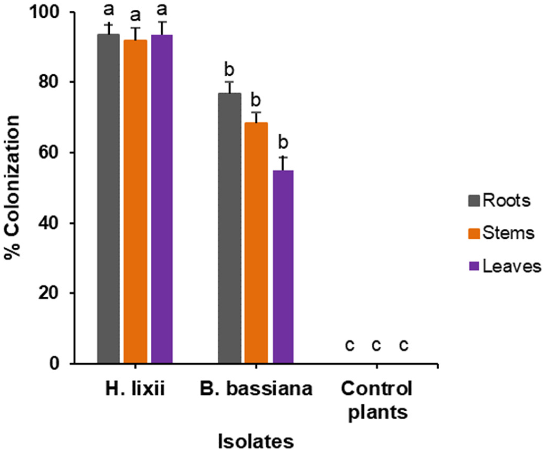 Molecules 26 05694 g001