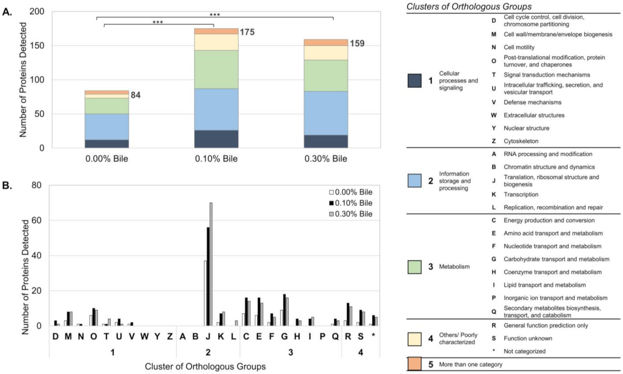 Molecules 26 05695 g001 550