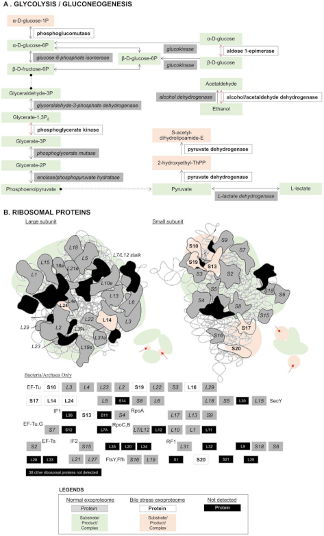 Molecules 26 05695 g002 550