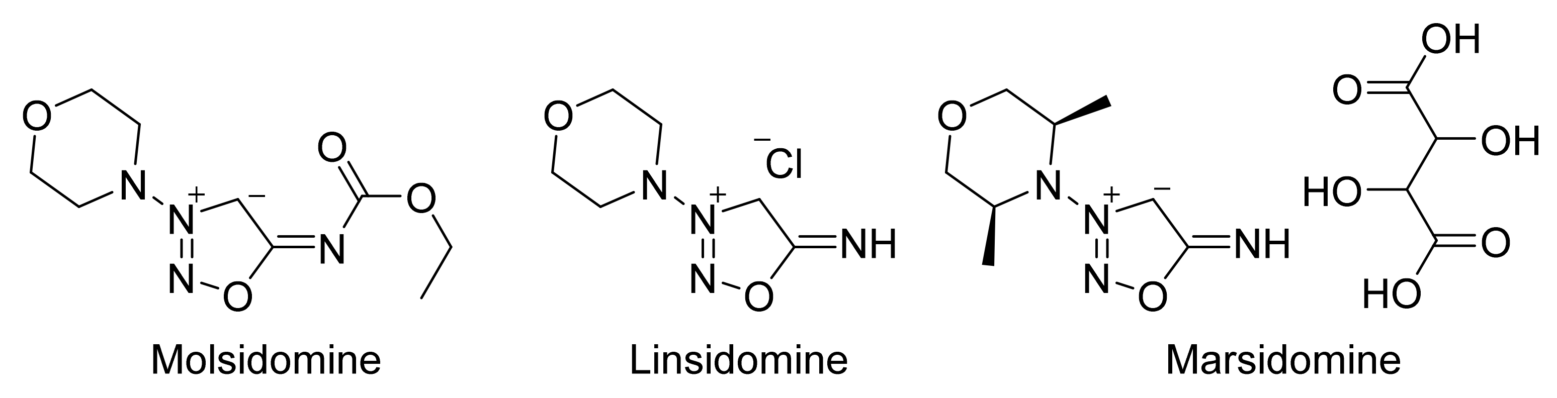 Molecules 26 05705 g002 Molecules 26 05705 g002