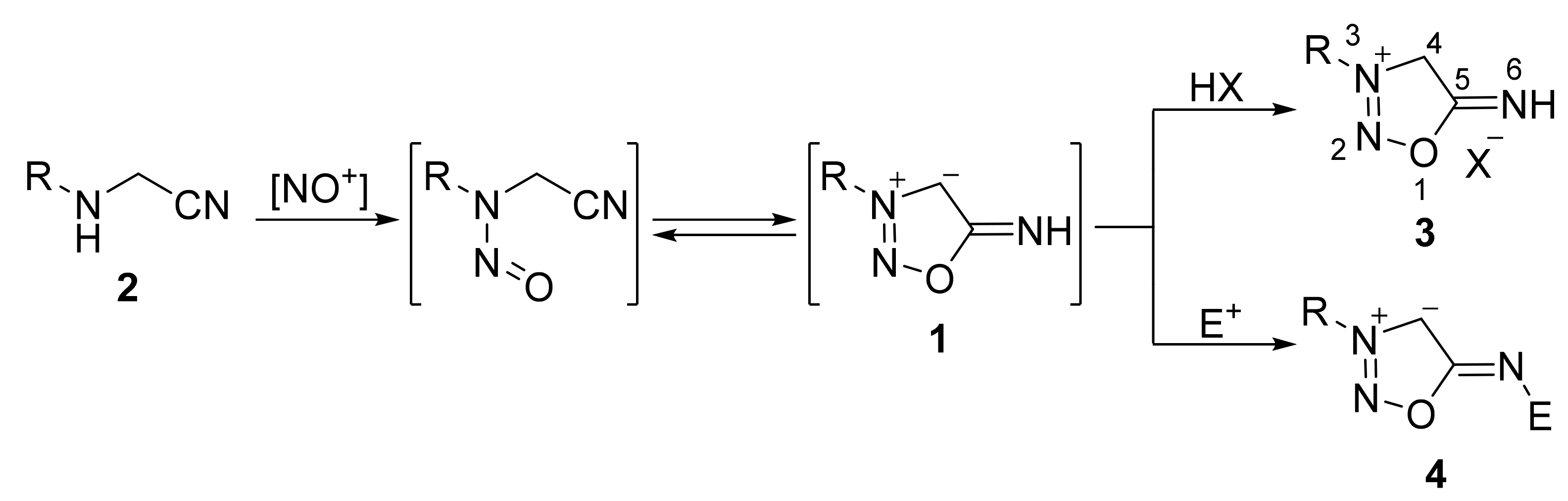 Molecules 26 05705 sch002 Molecules 26 05705 sch002