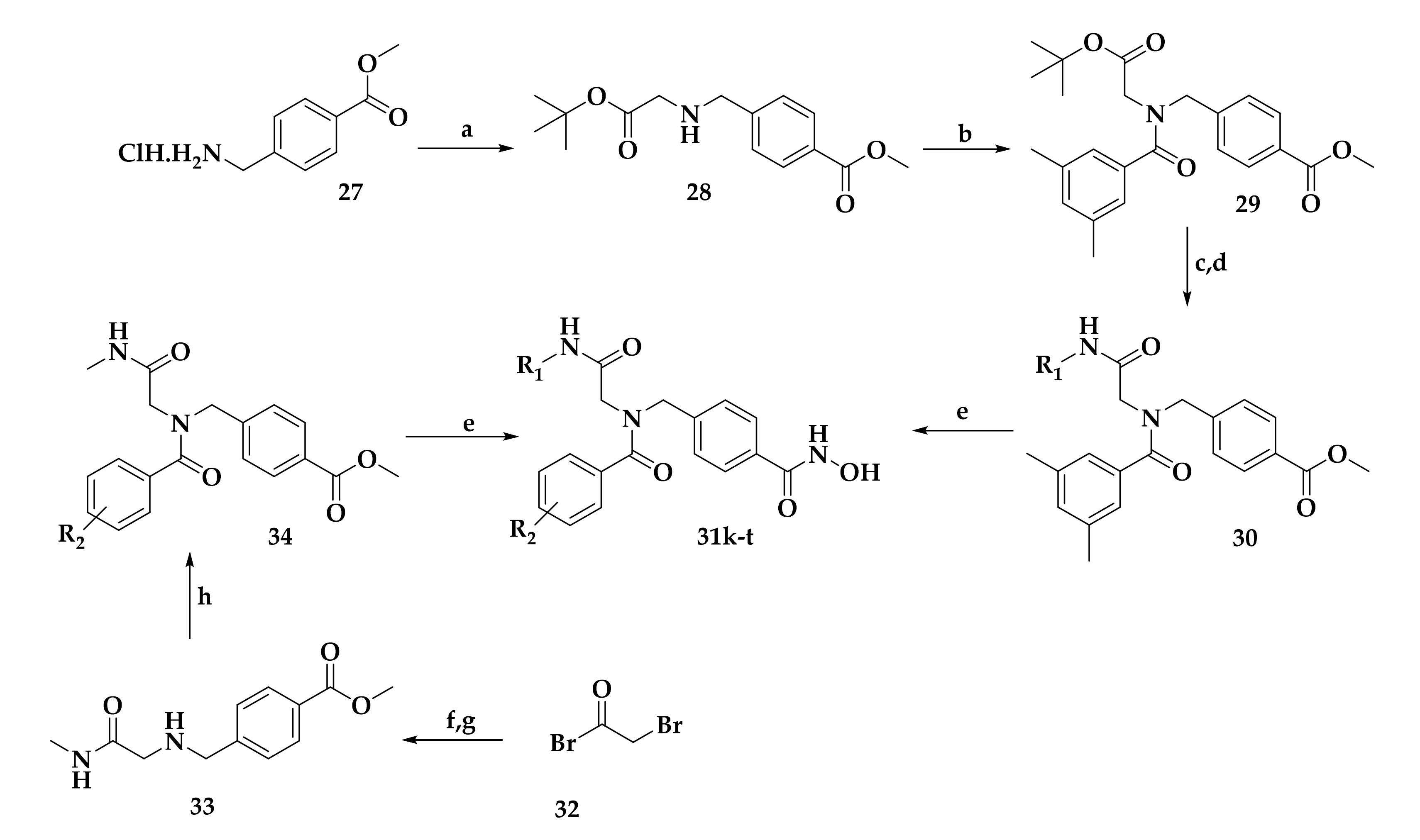 Molecules 26 05711 sch003