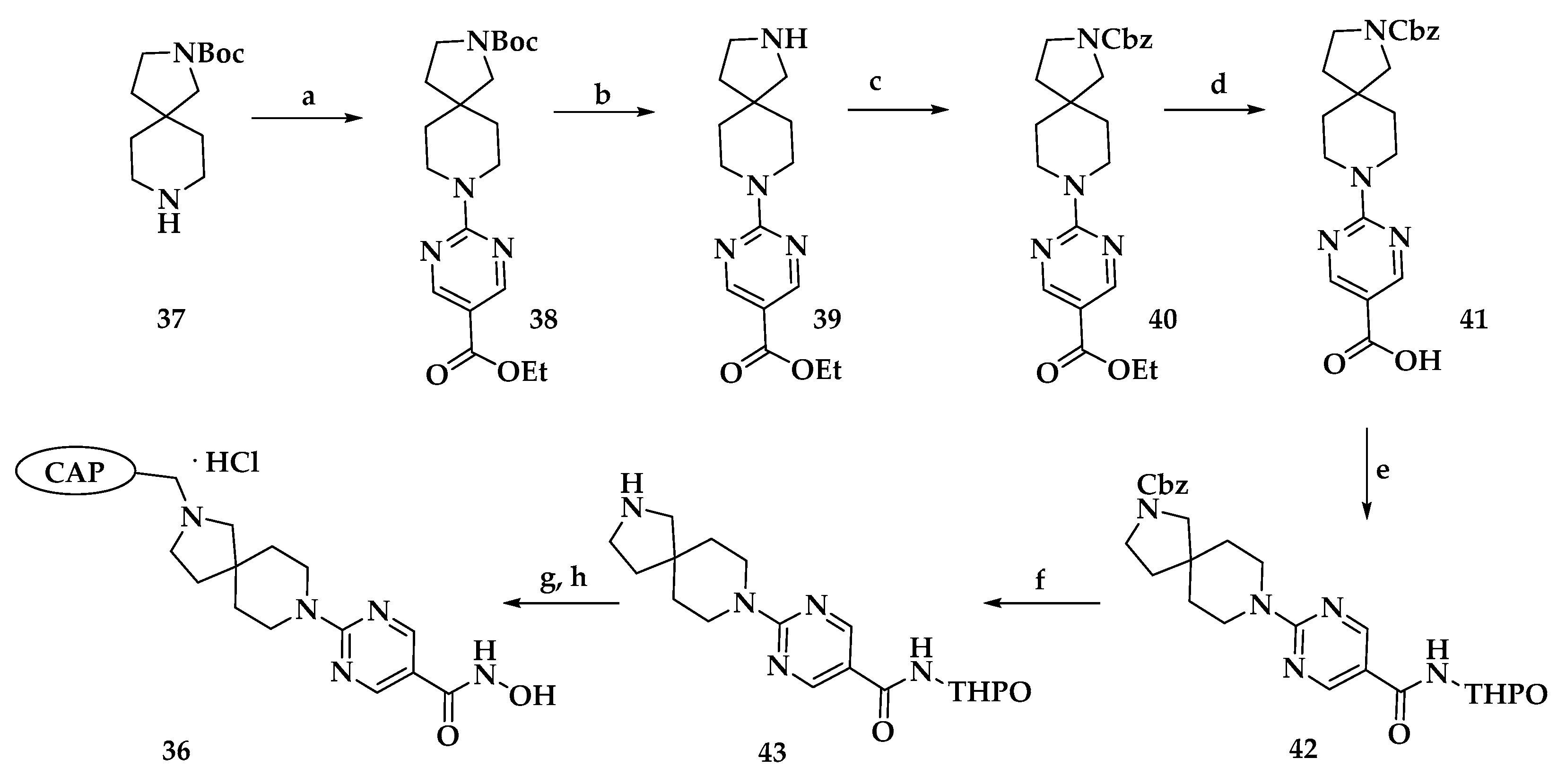 Molecules 26 05711 sch004