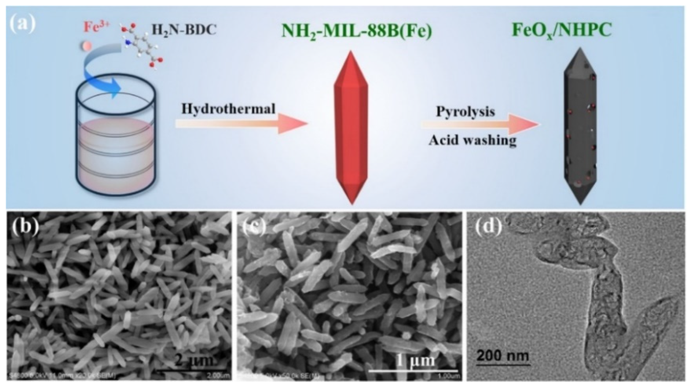 Molecules 26 05713 g009 550