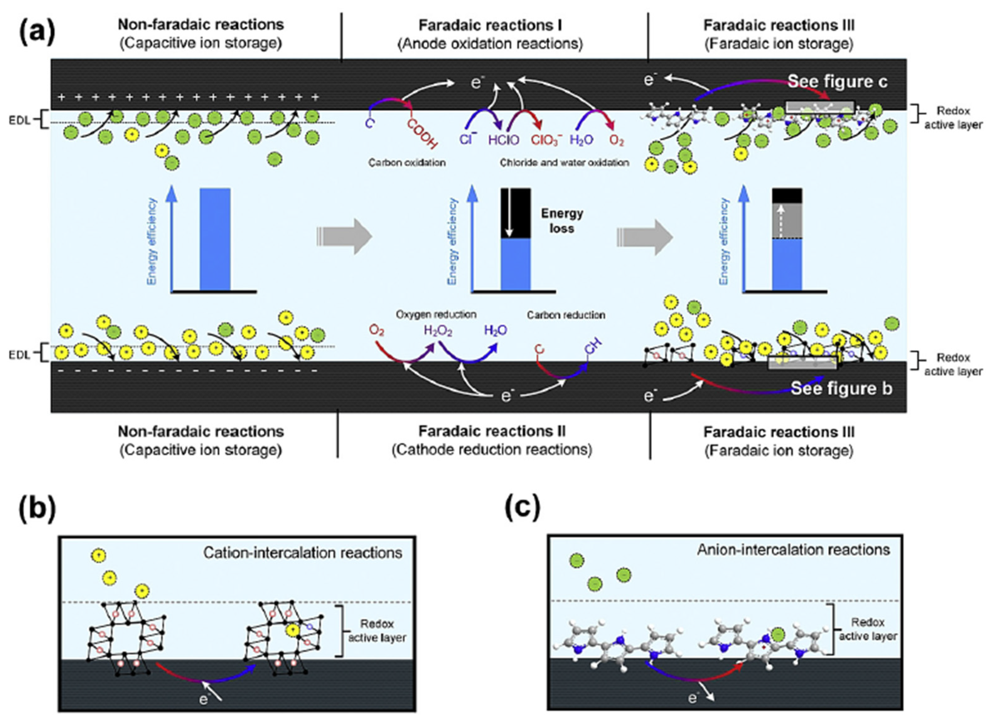 Molecules 26 05713 g014 550