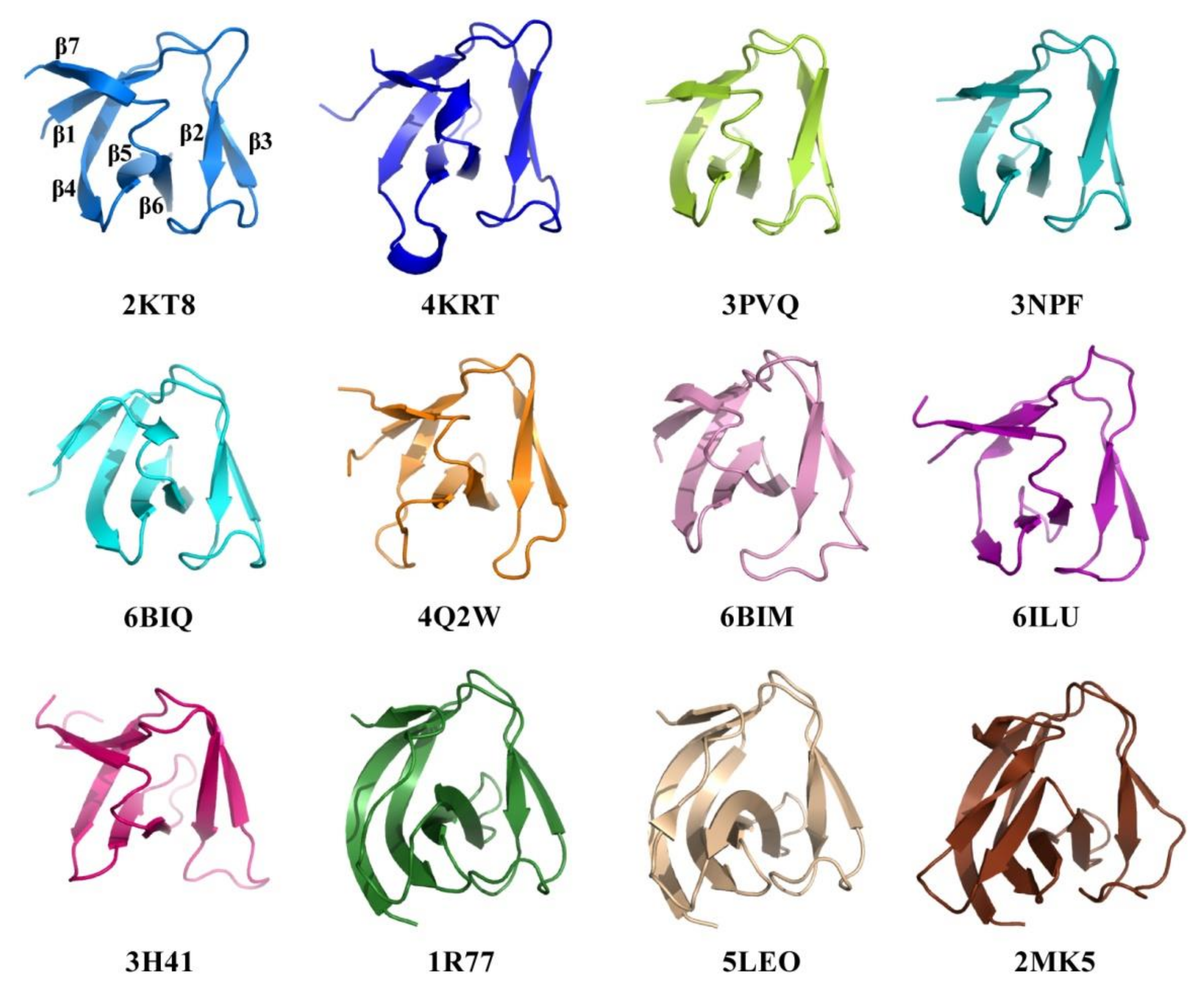 Molecules 26 05716 g004