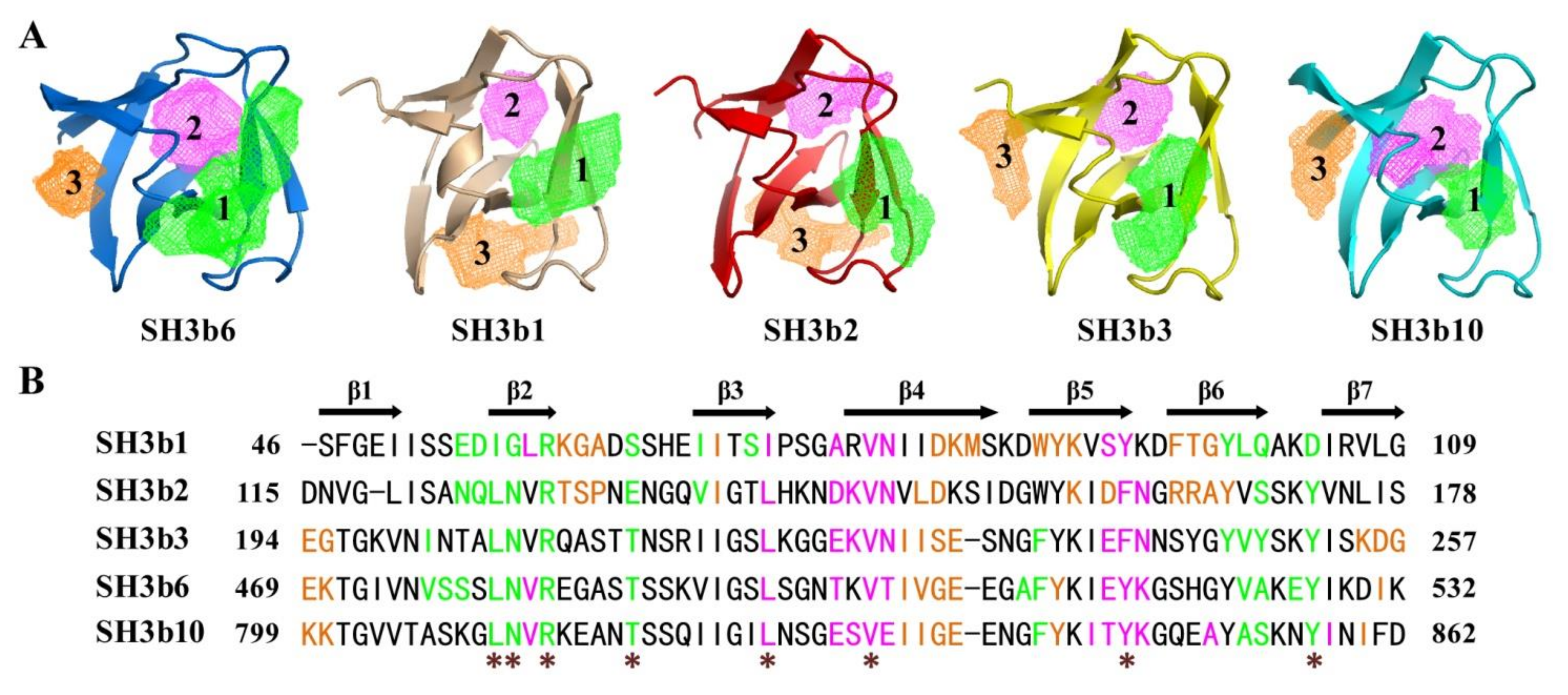 Molecules 26 05716 g008