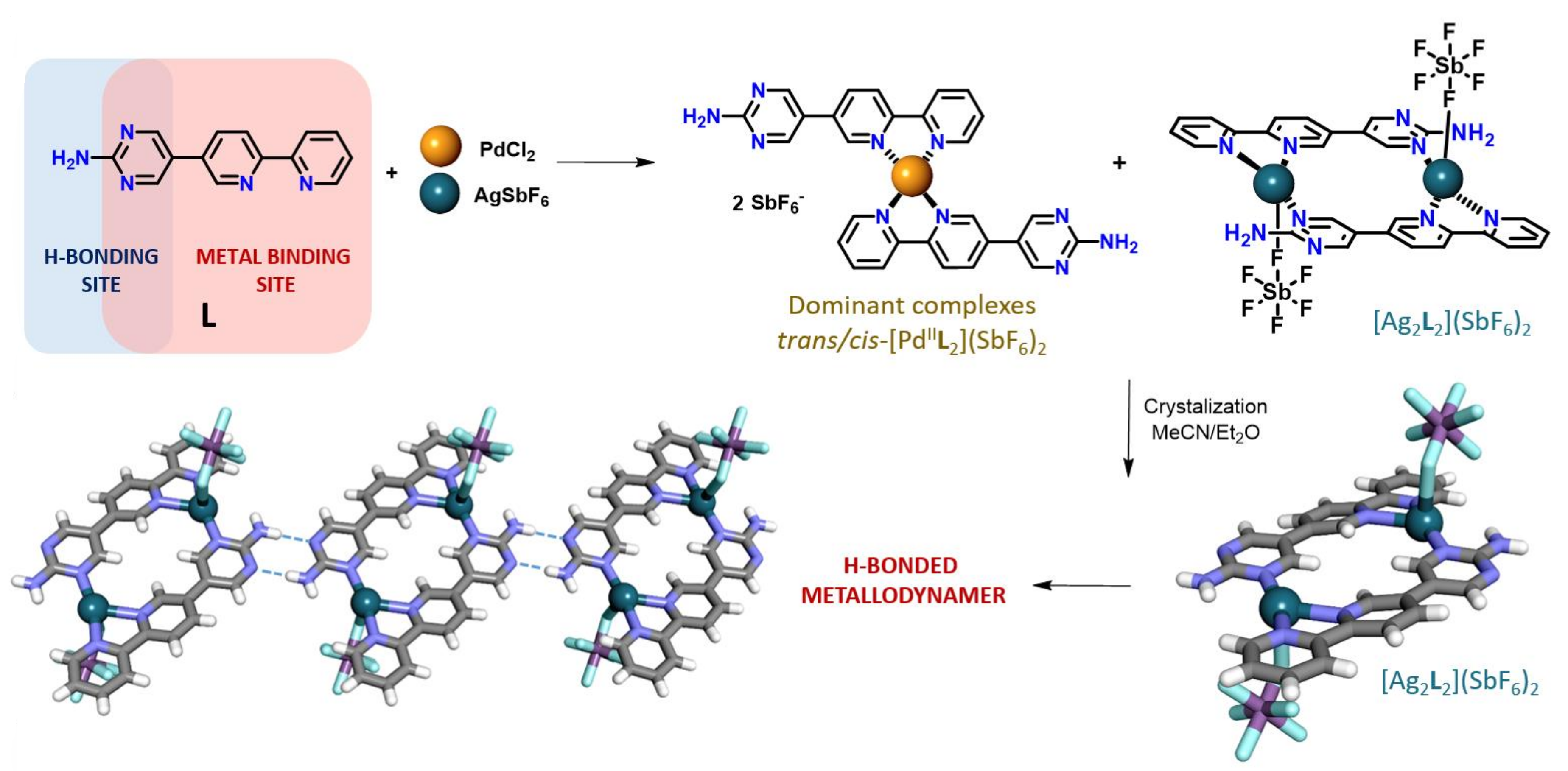 Molecules 26 05719 sch001
