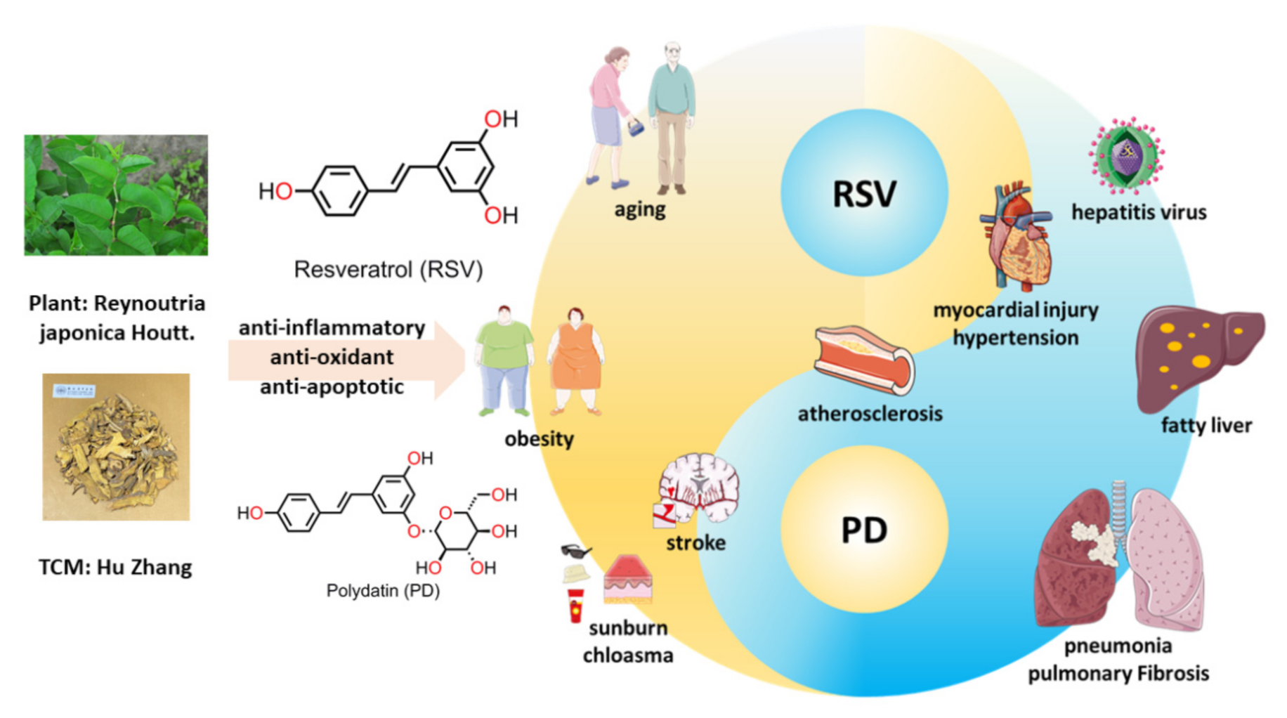 Molecules 26 05722 g001