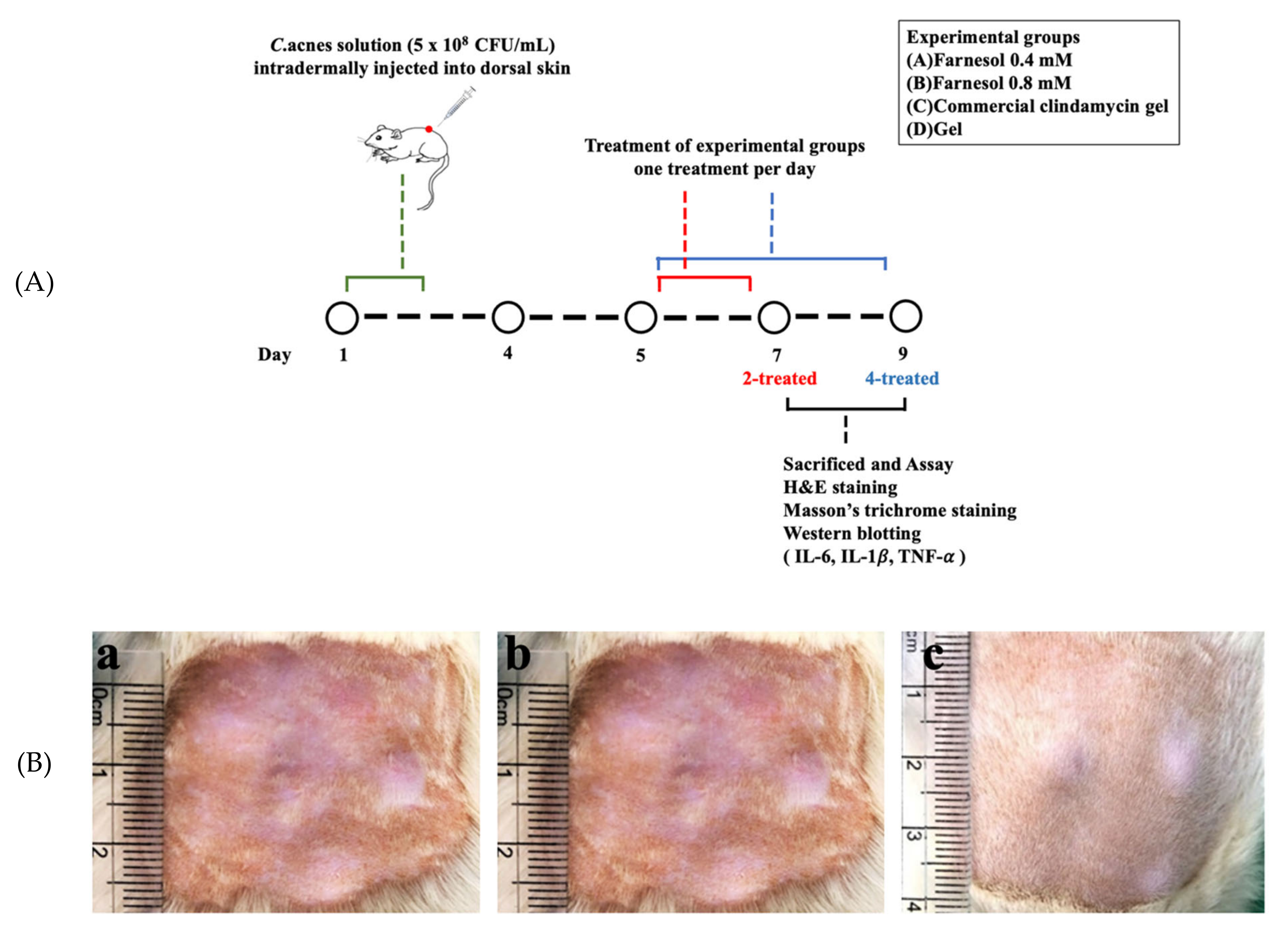 Molecules 26 05723 g001