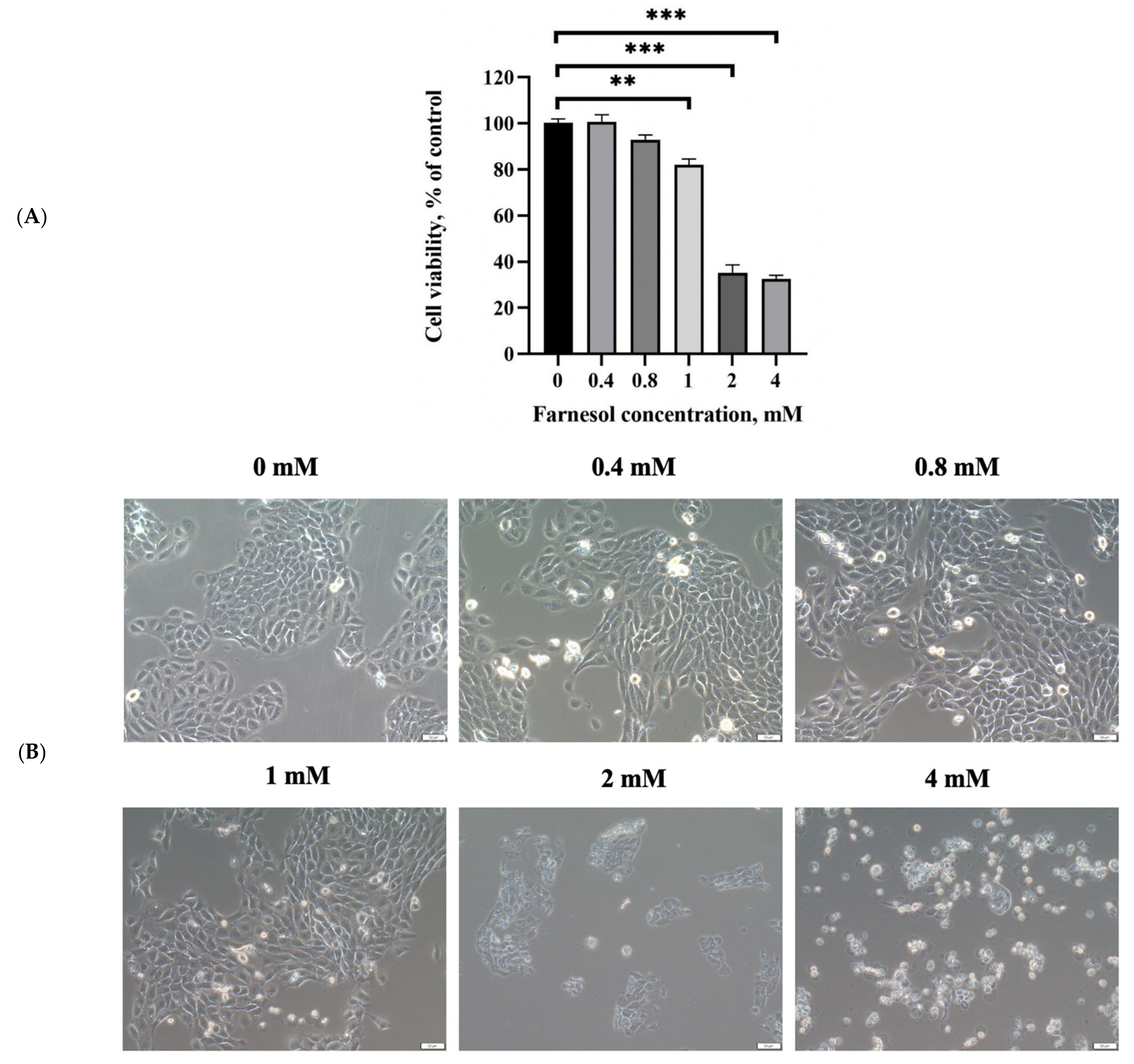 Molecules 26 05723 g003