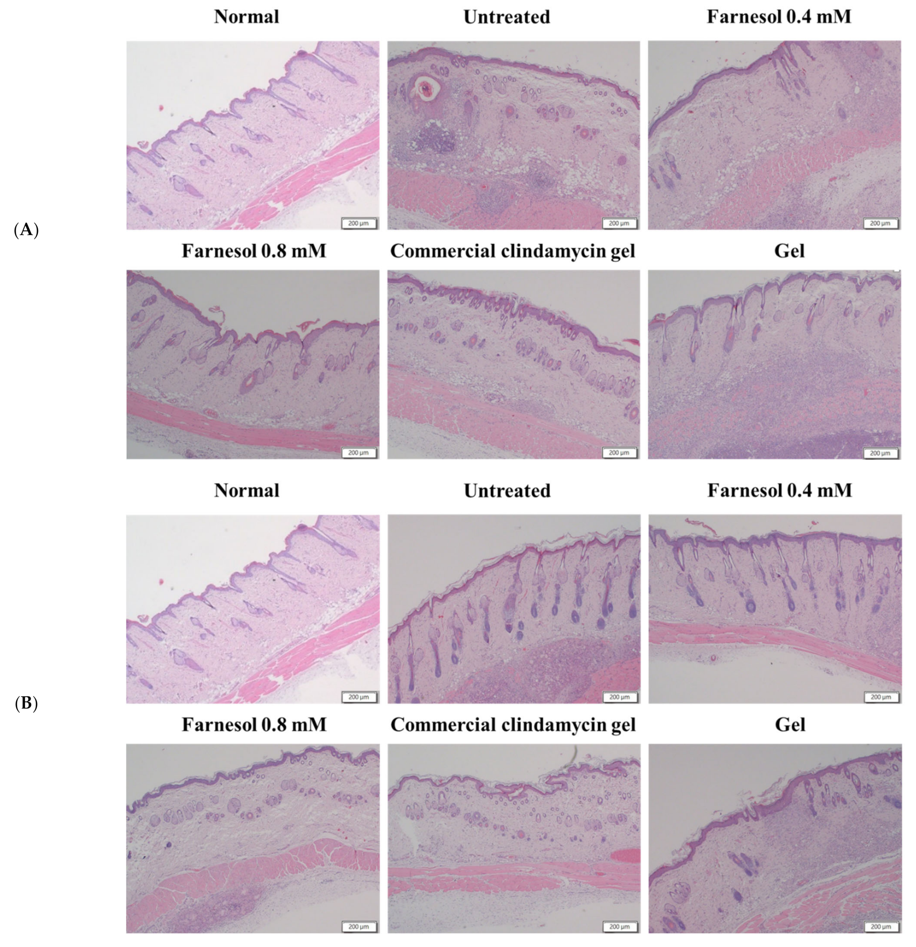 Molecules 26 05723 g004