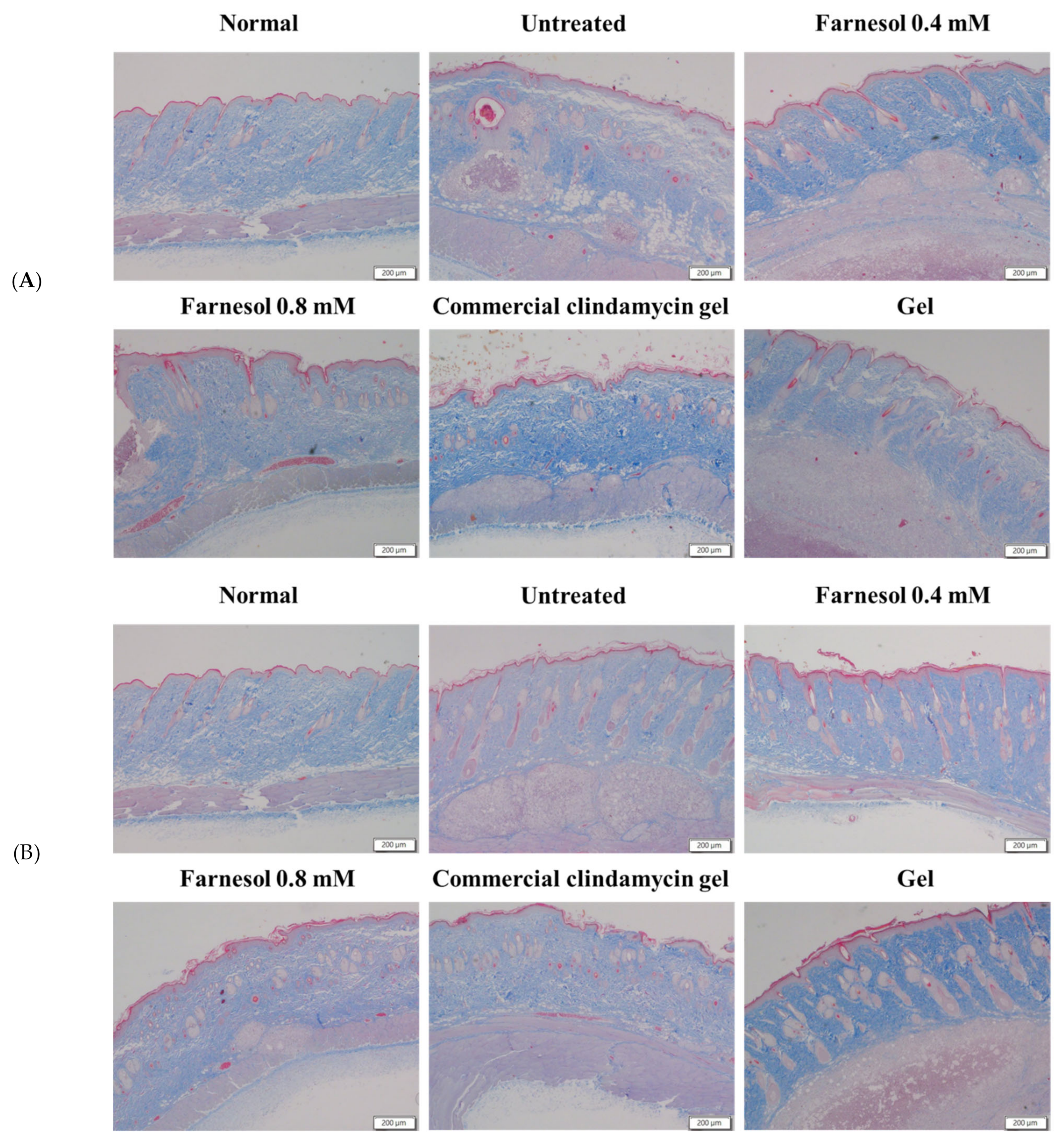 Molecules 26 05723 g005a