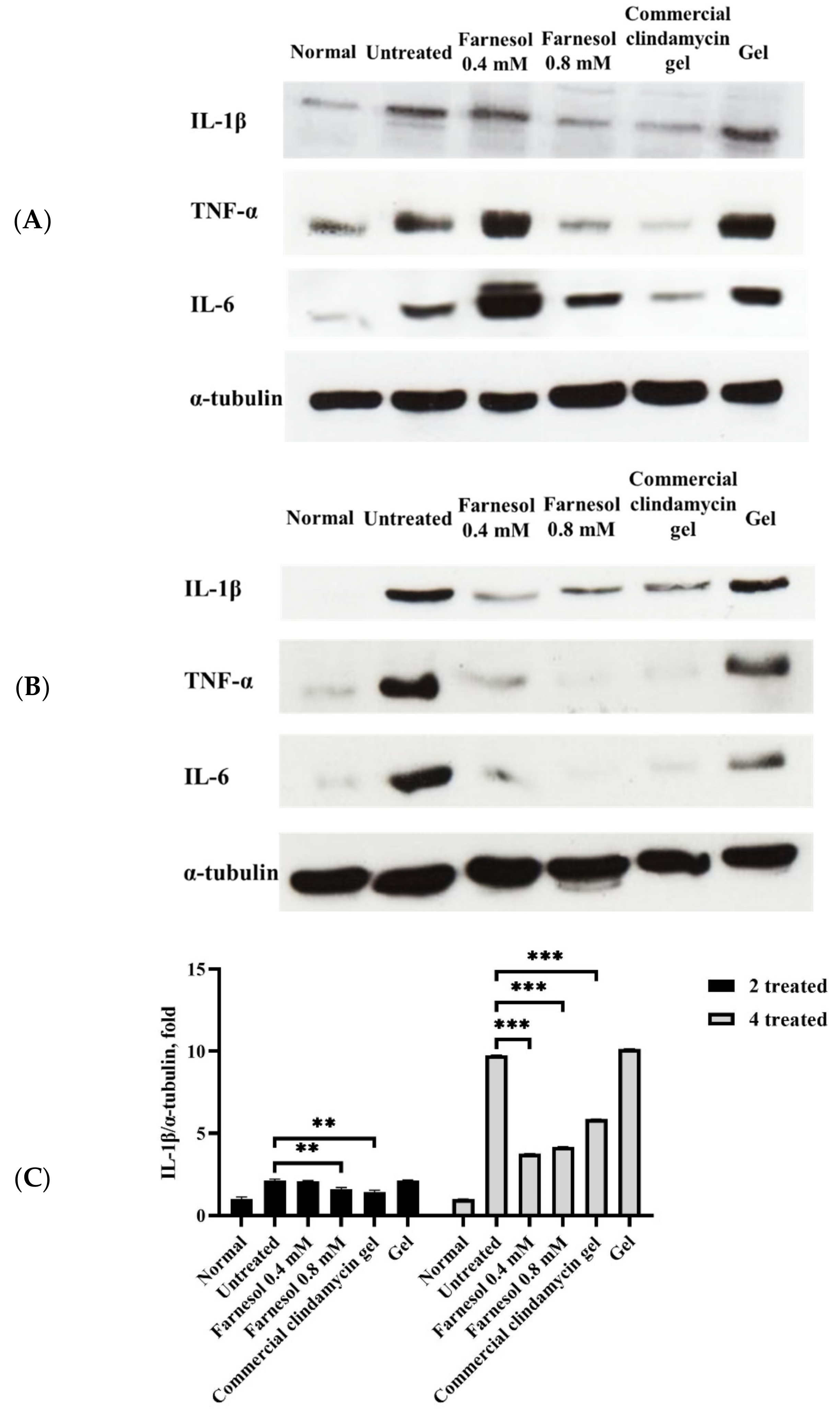 Molecules 26 05723 g006a