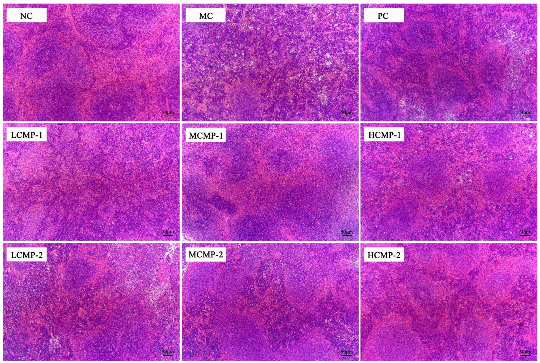 Molecules 26 05733 g002