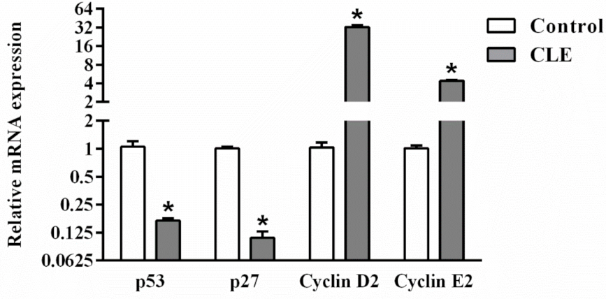Molecules 26 05734 g006