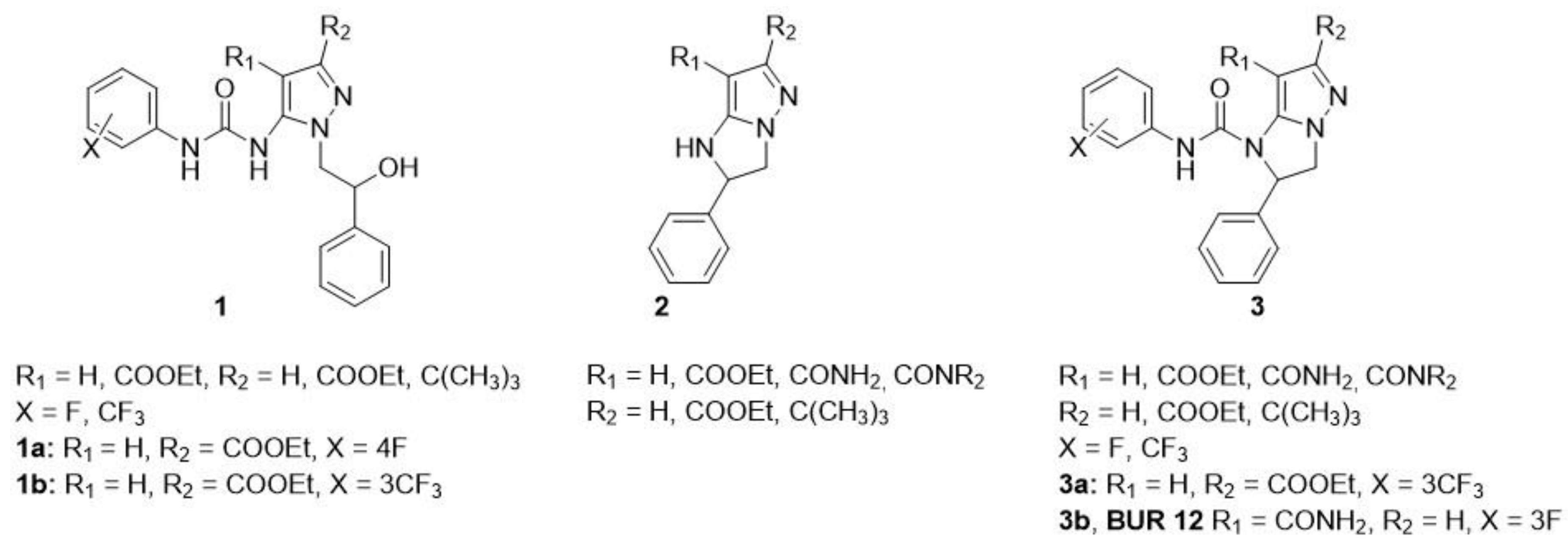 Molecules 26 05735 g001