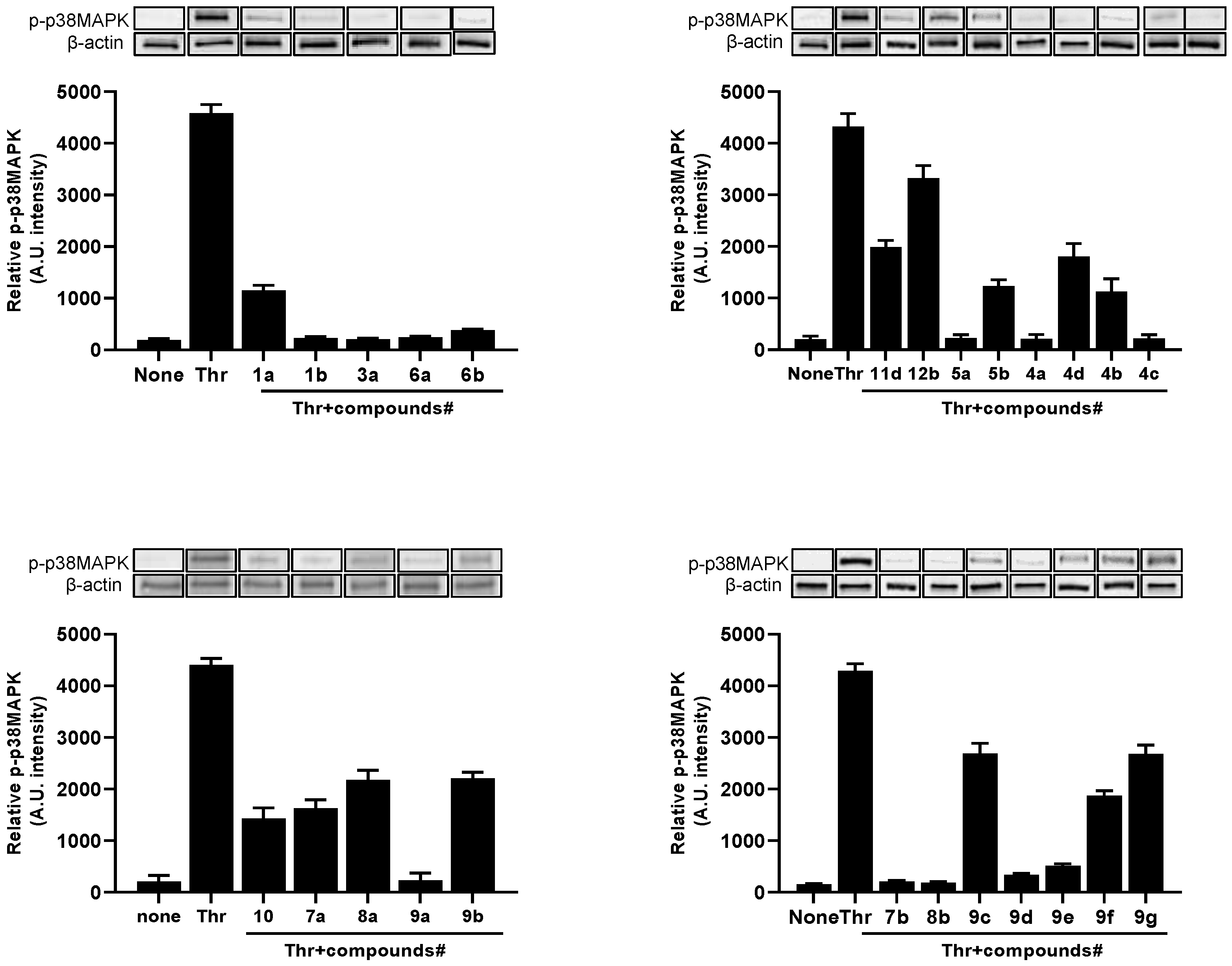 Molecules 26 05735 g003