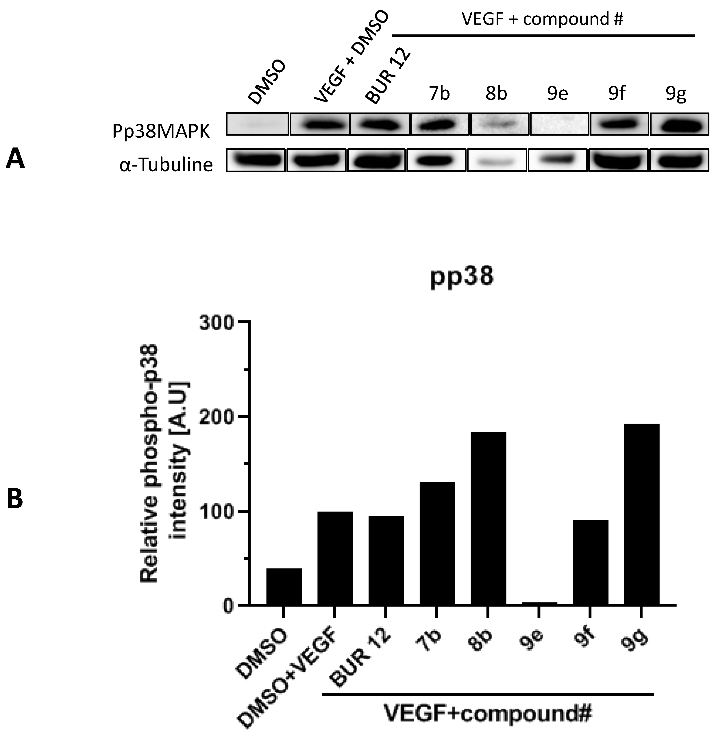 Molecules 26 05735 g004