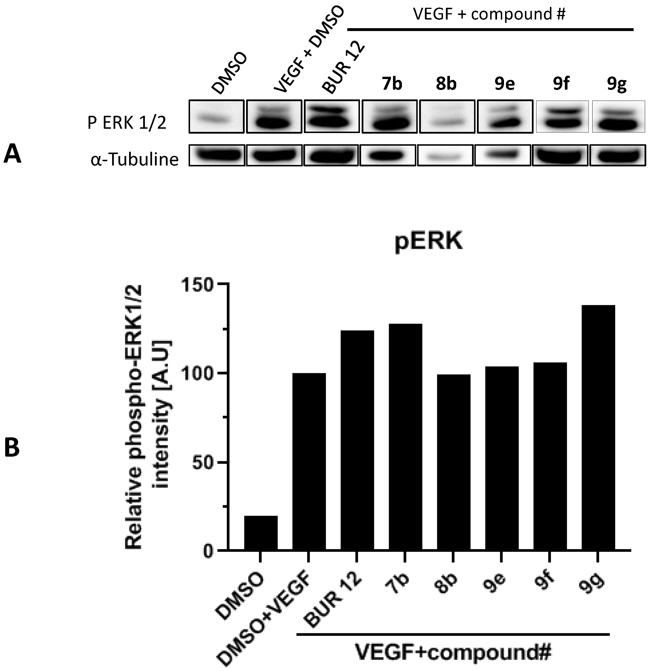 Molecules 26 05735 g005