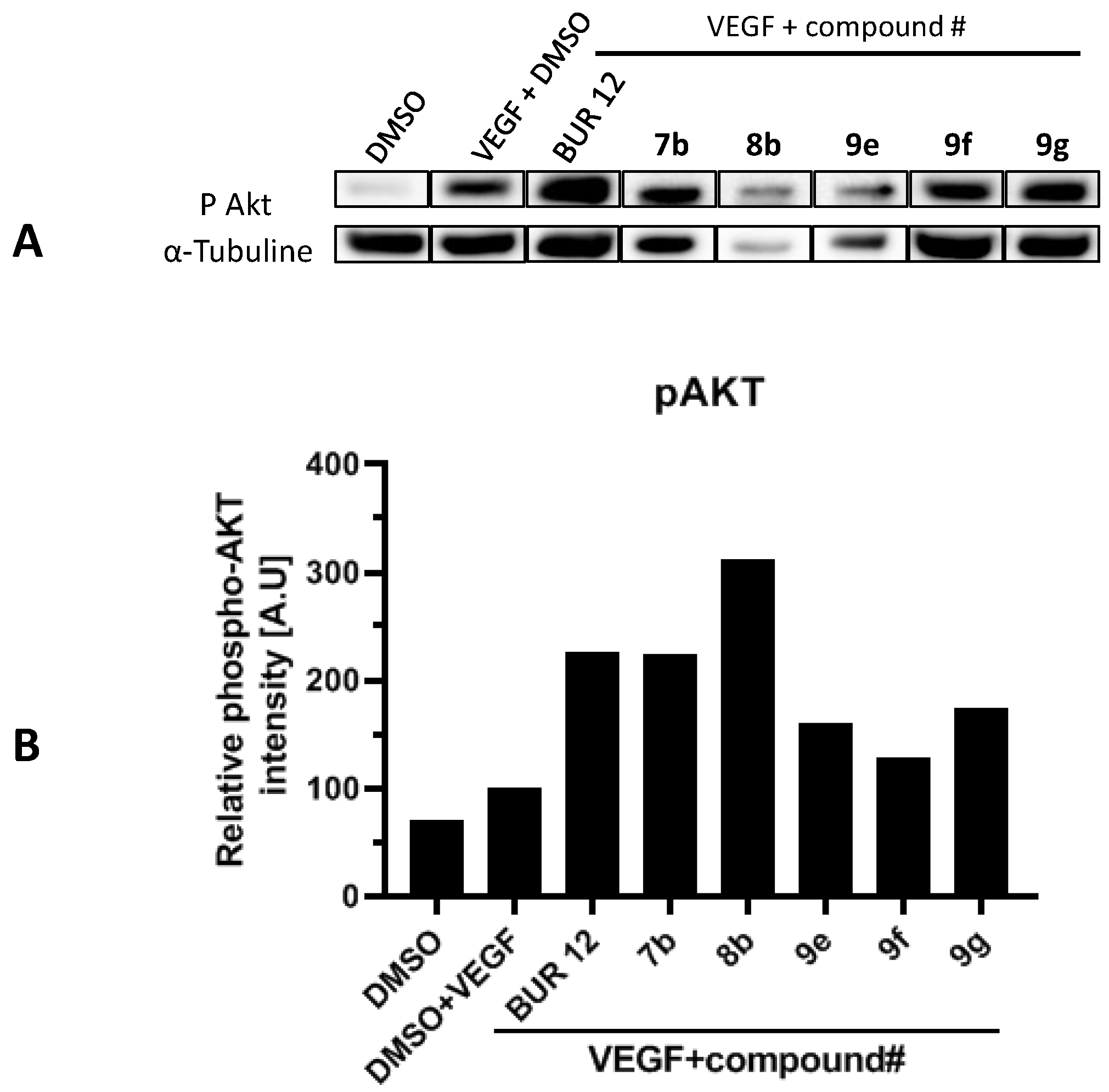 Molecules 26 05735 g006