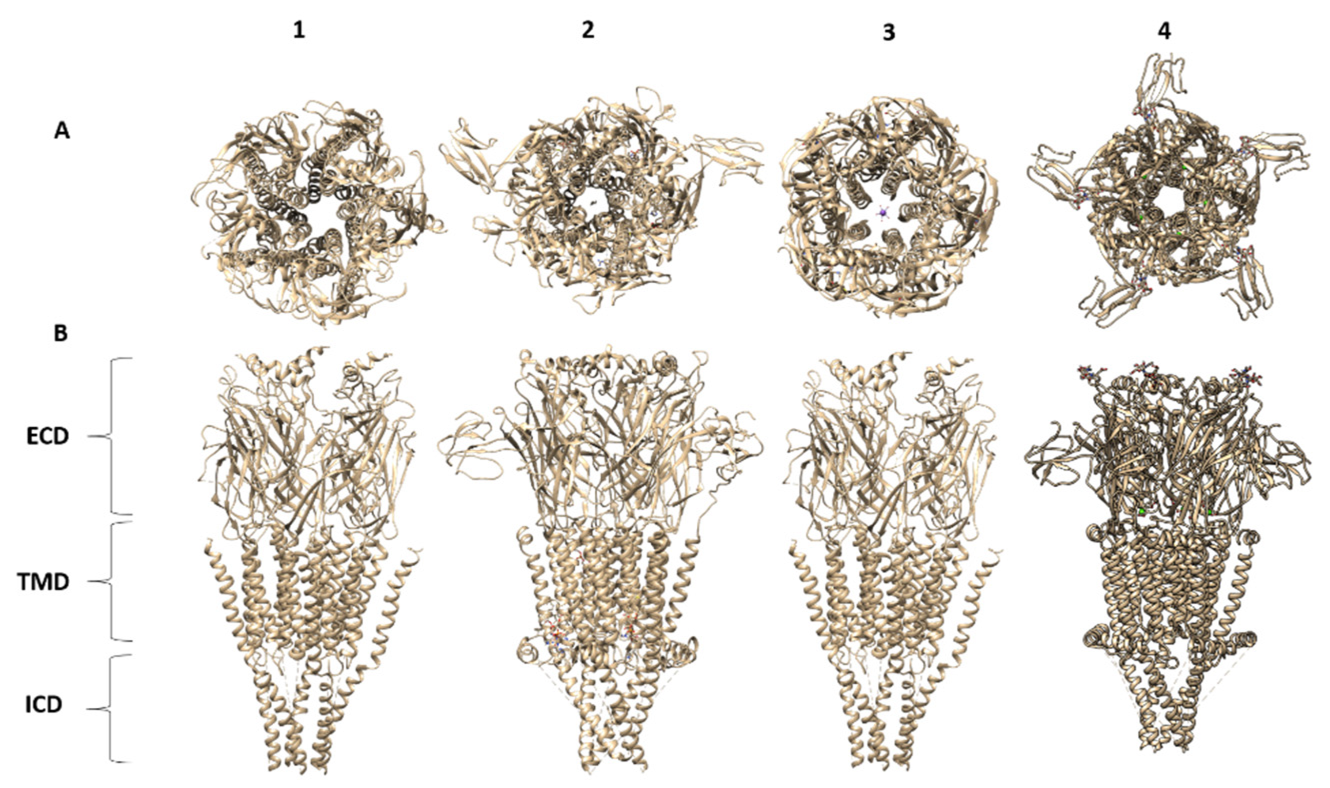 Molecules 26 05753 g002a Molecules 26 05753 g002a