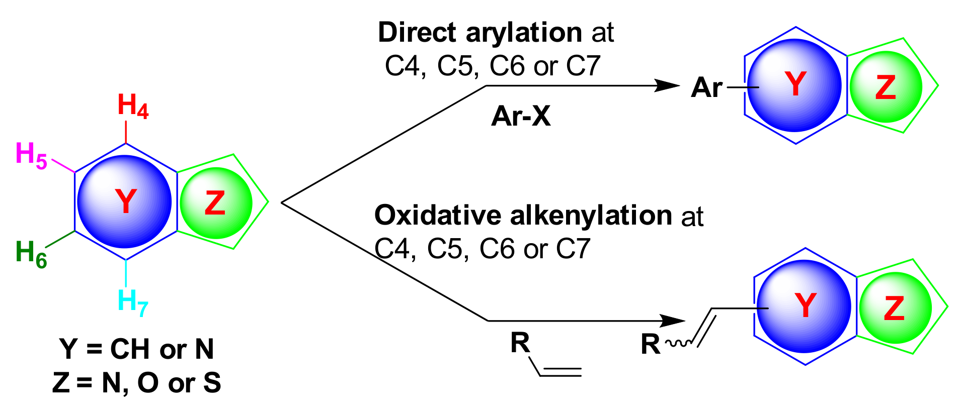 Molecules 26 05763 sch001