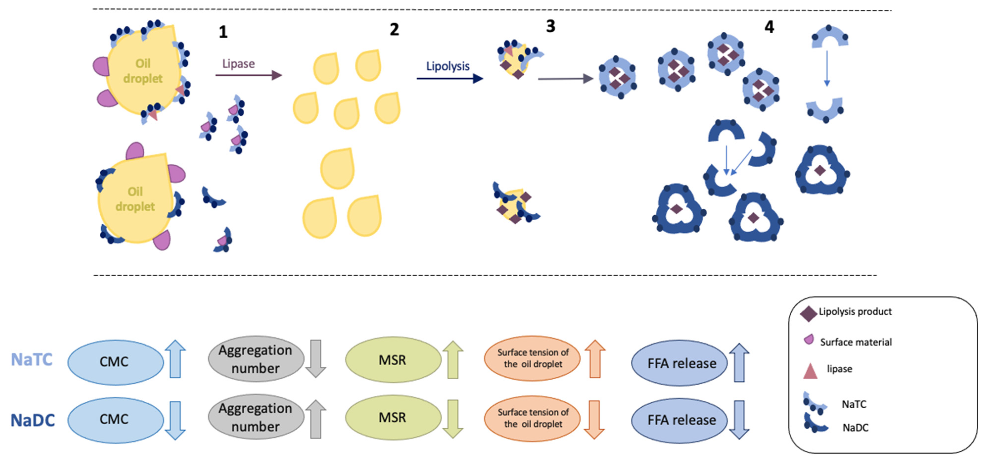 Molecules 26 05764 g009