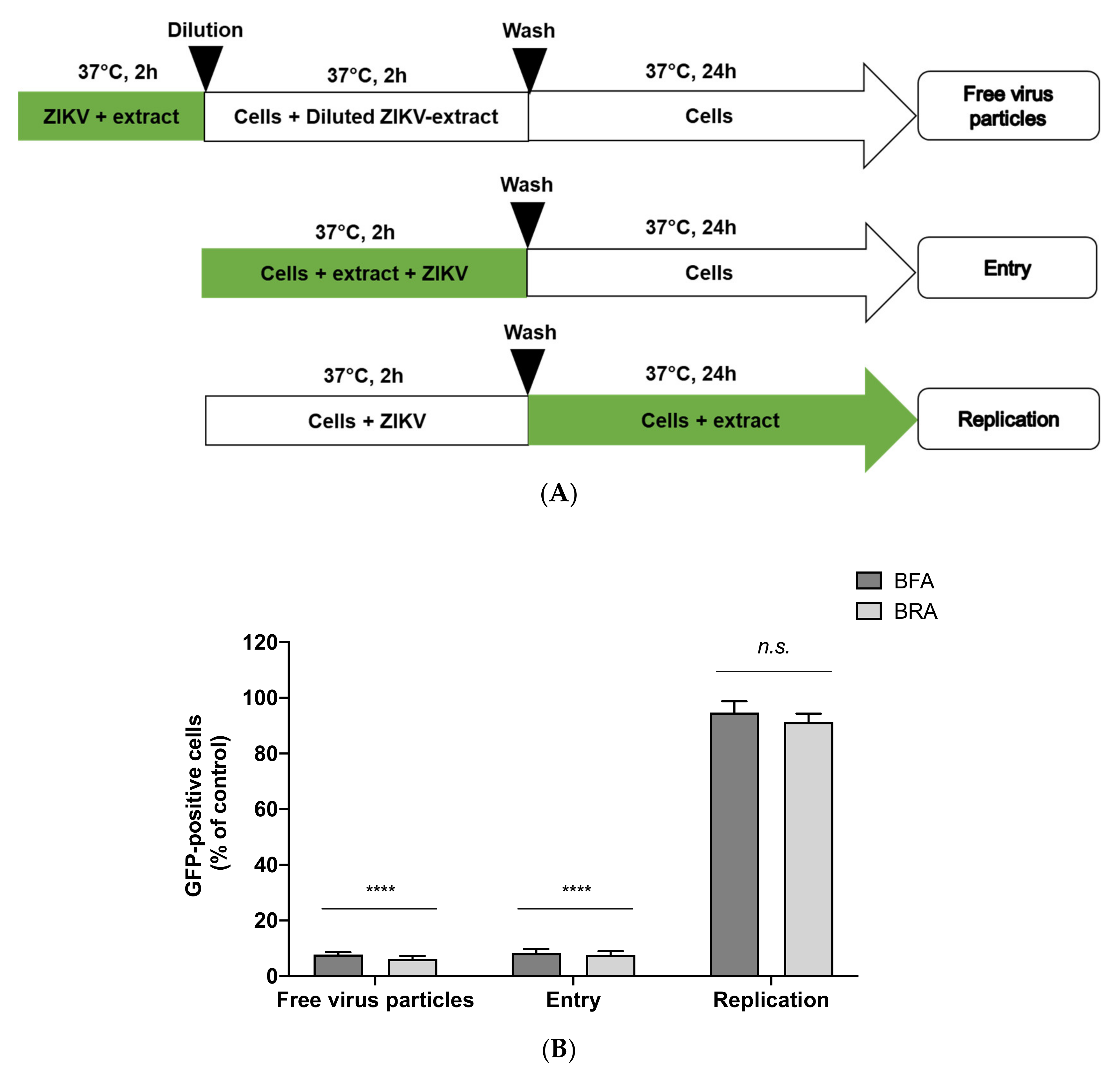 Molecules 26 05768 g004