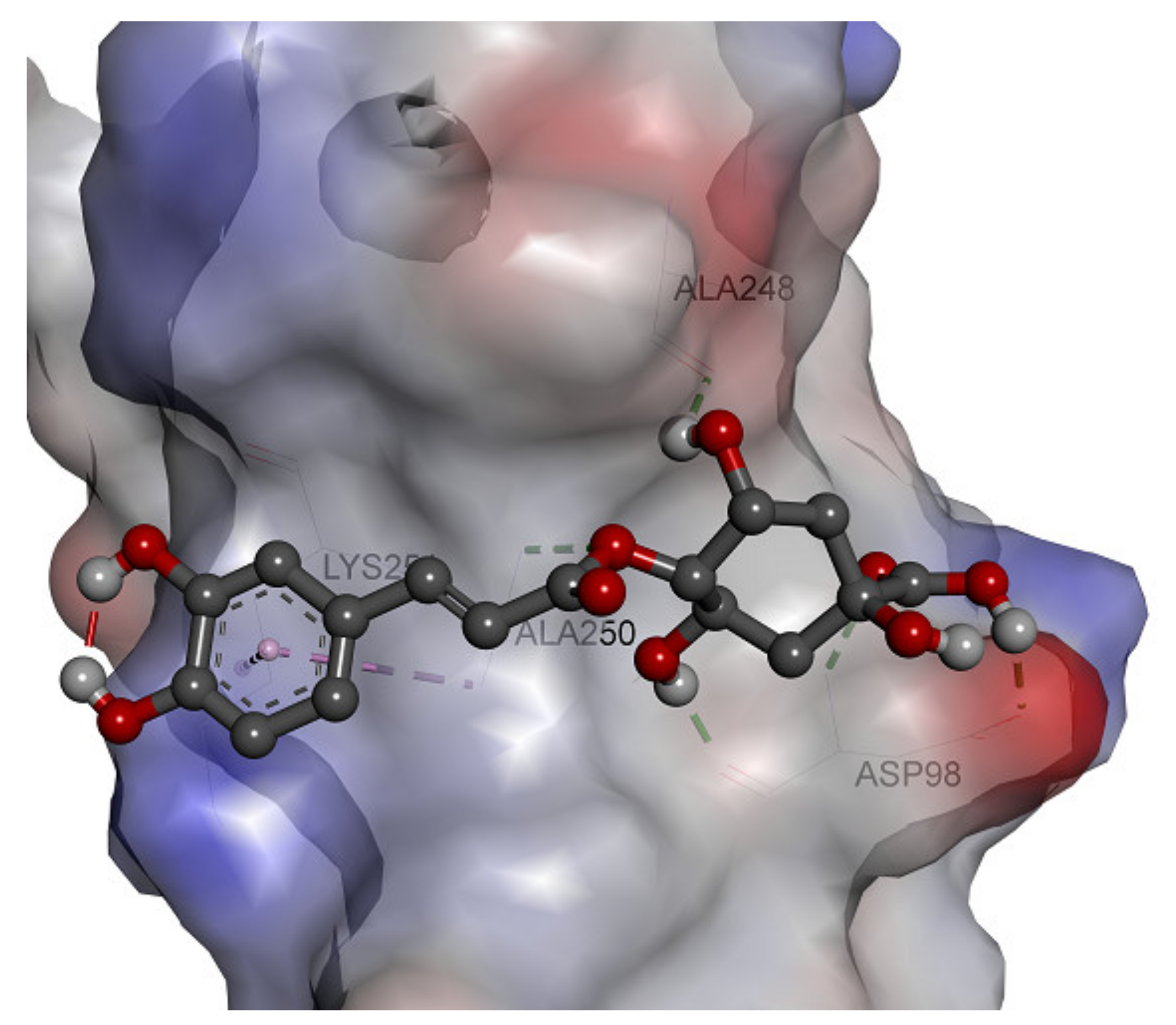 Molecules 26 05768 g006