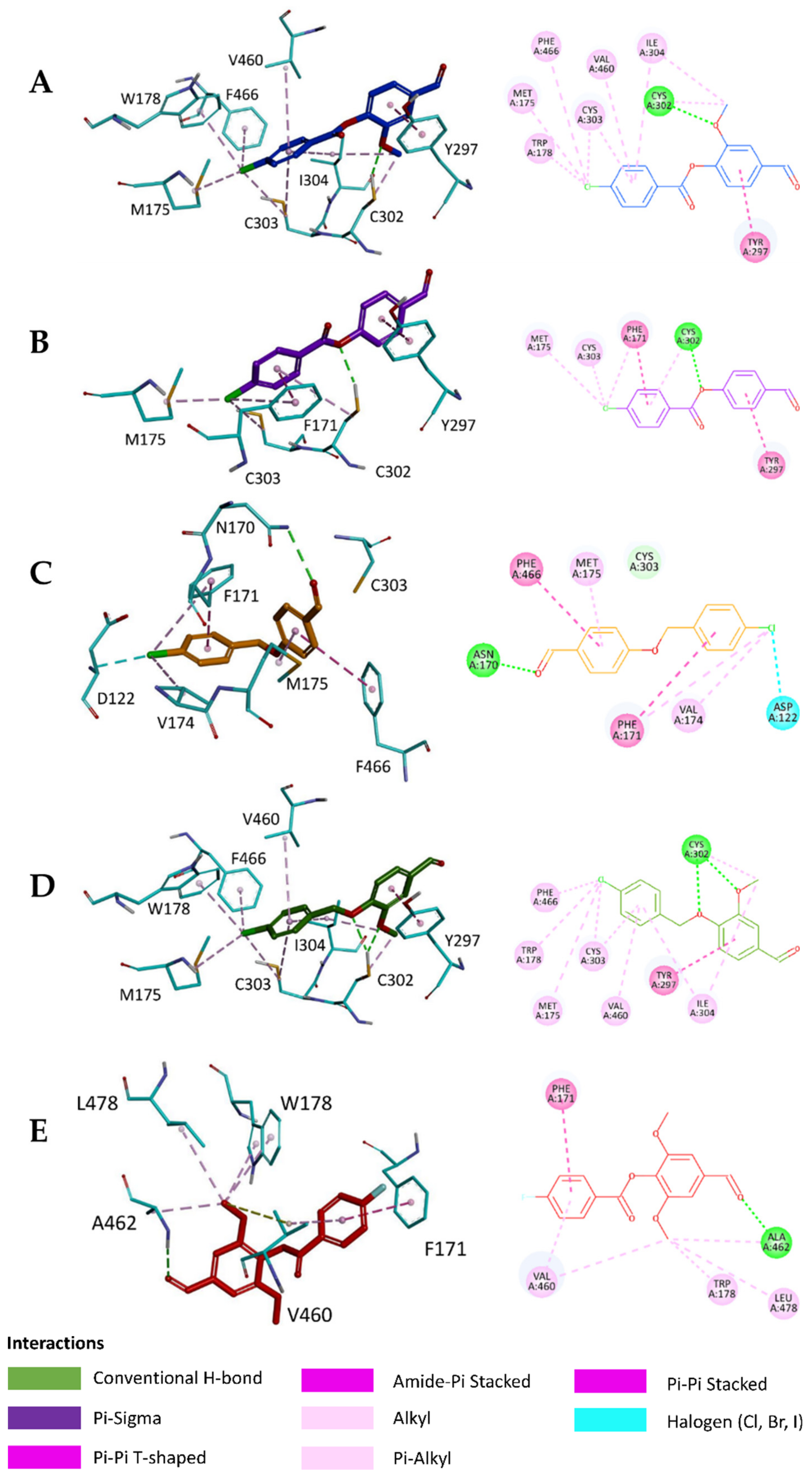 Molecules 26 05770 g004 Molecules 26 05770 g004