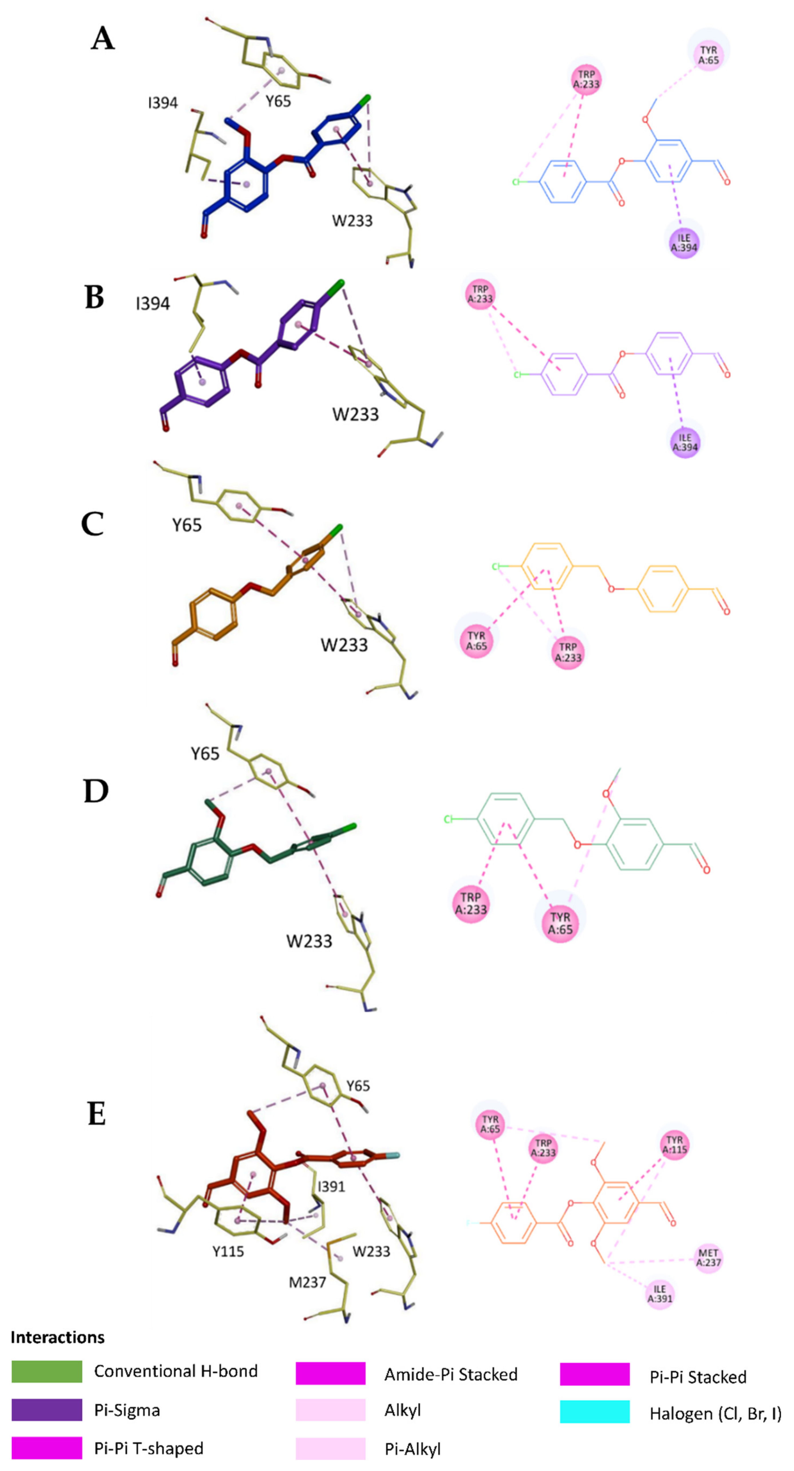 Molecules 26 05770 g006 Molecules 26 05770 g006
