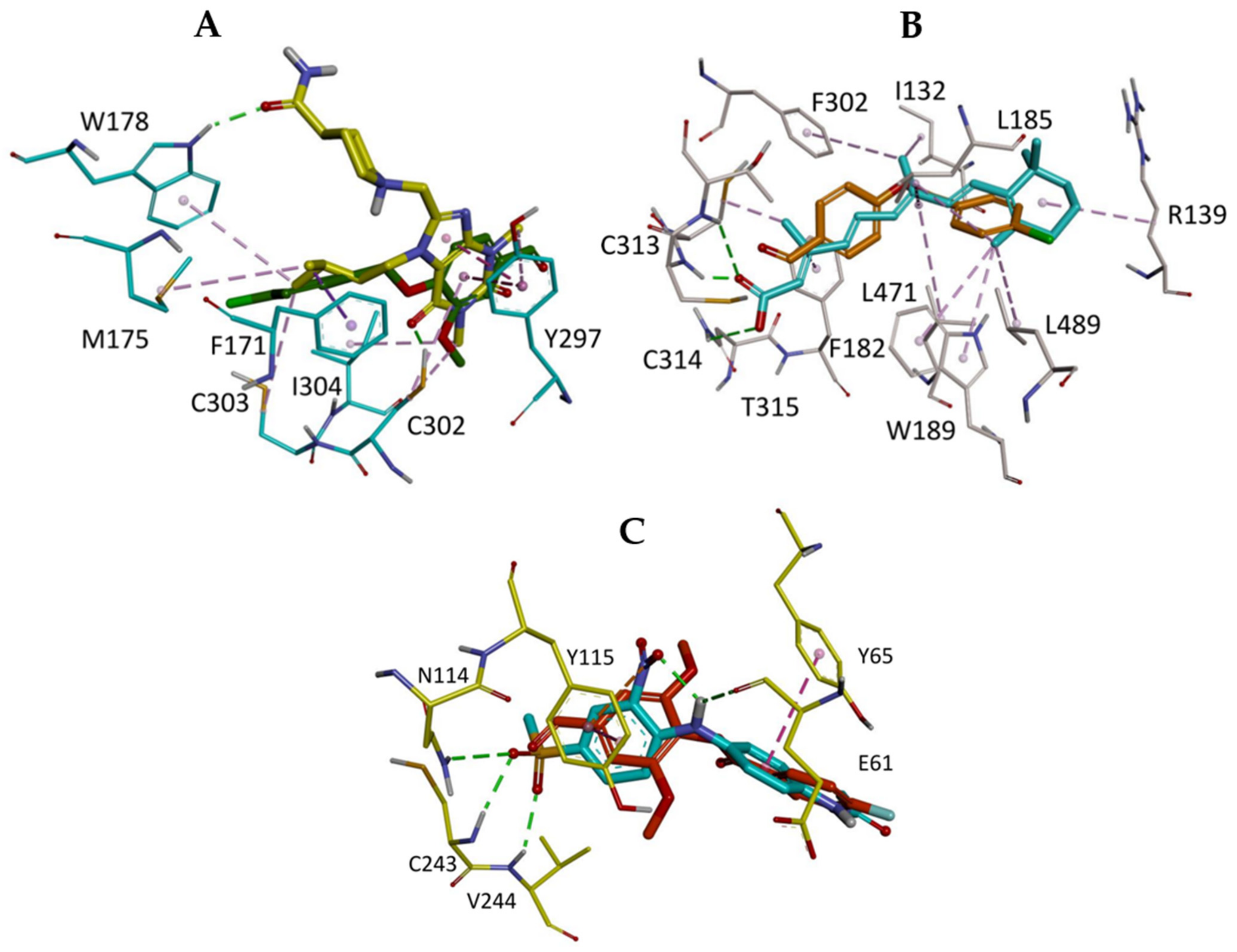 Molecules 26 05770 g007 Molecules 26 05770 g007