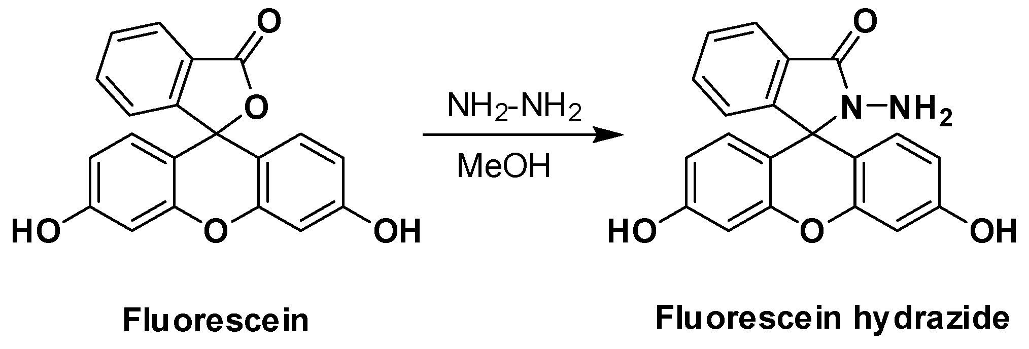 Molecules 26 05773 sch001 550