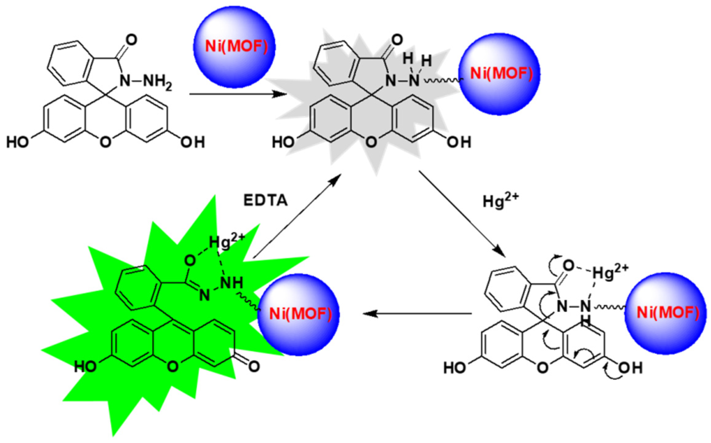 Molecules 26 05773 sch003 550