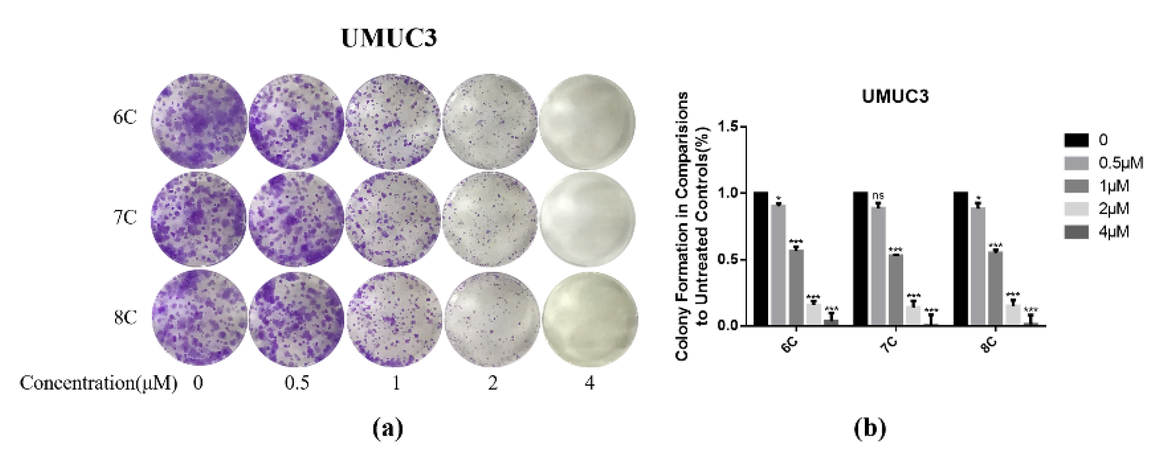 Molecules 26 05775 g004 550