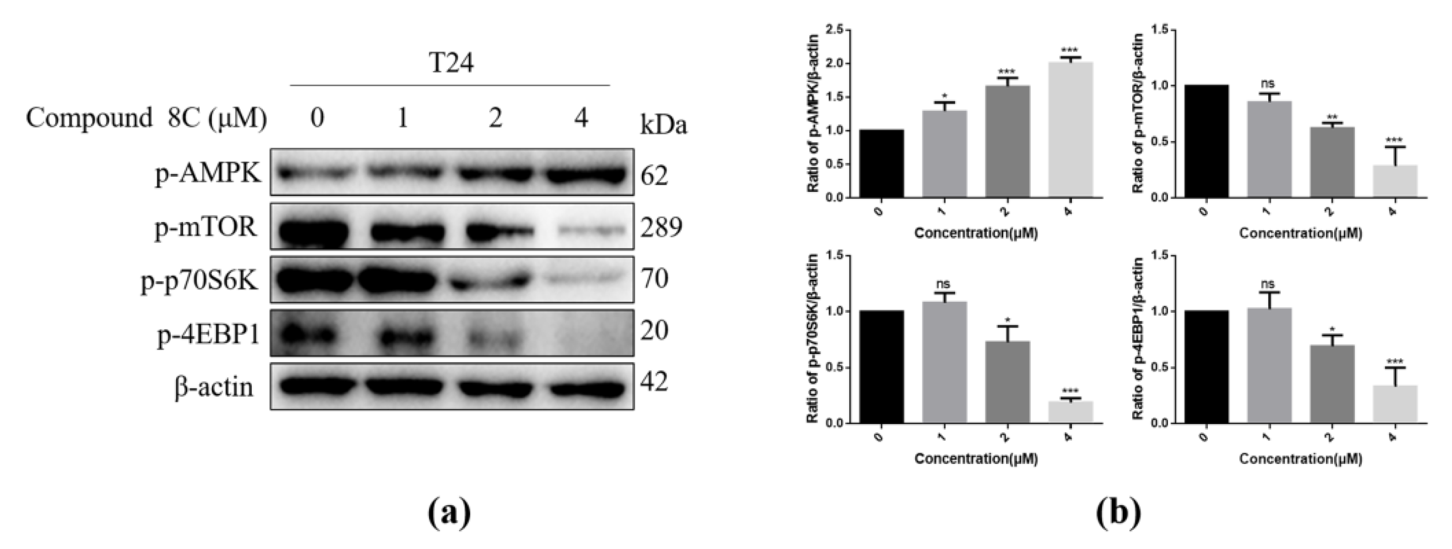 Molecules 26 05775 g006 550