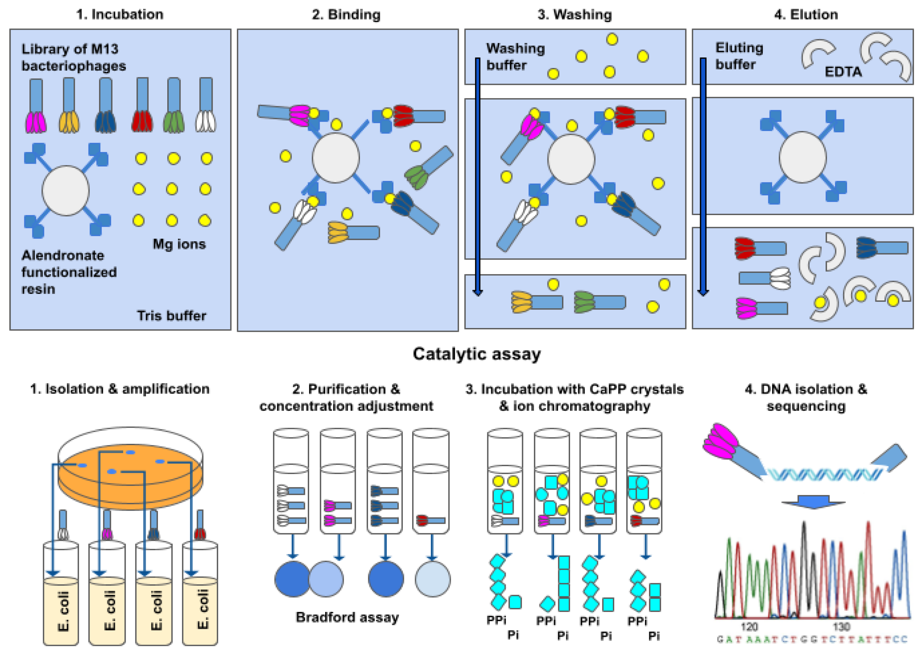 Molecules 26 05777 g008 550