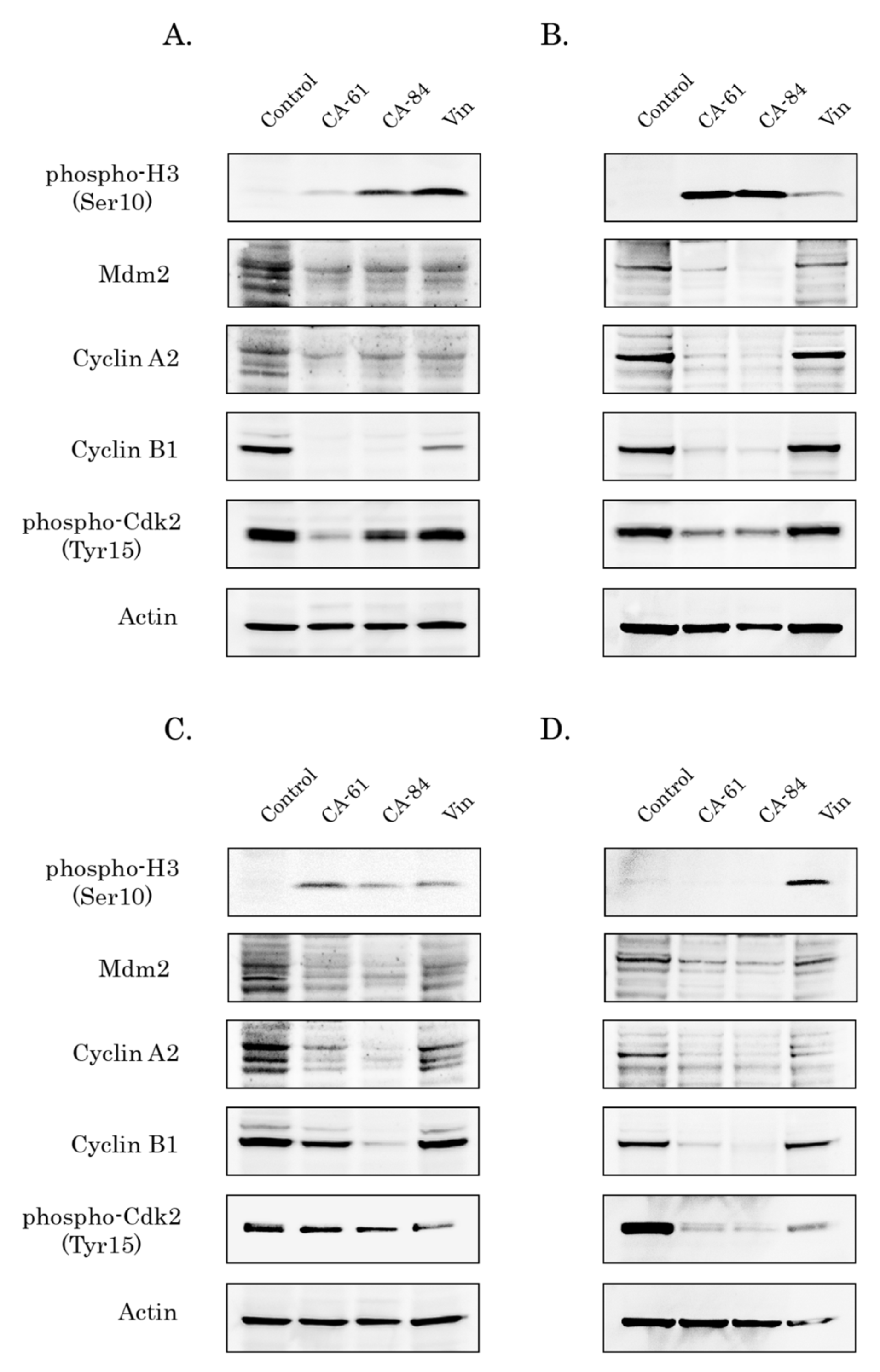Molecules 26 05780 g011 Molecules 26 05780 g011