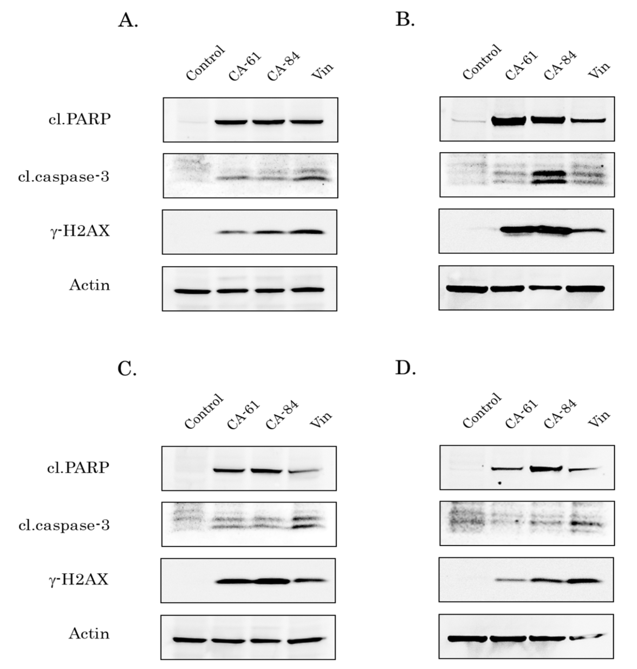 Molecules 26 05780 g012 Molecules 26 05780 g012