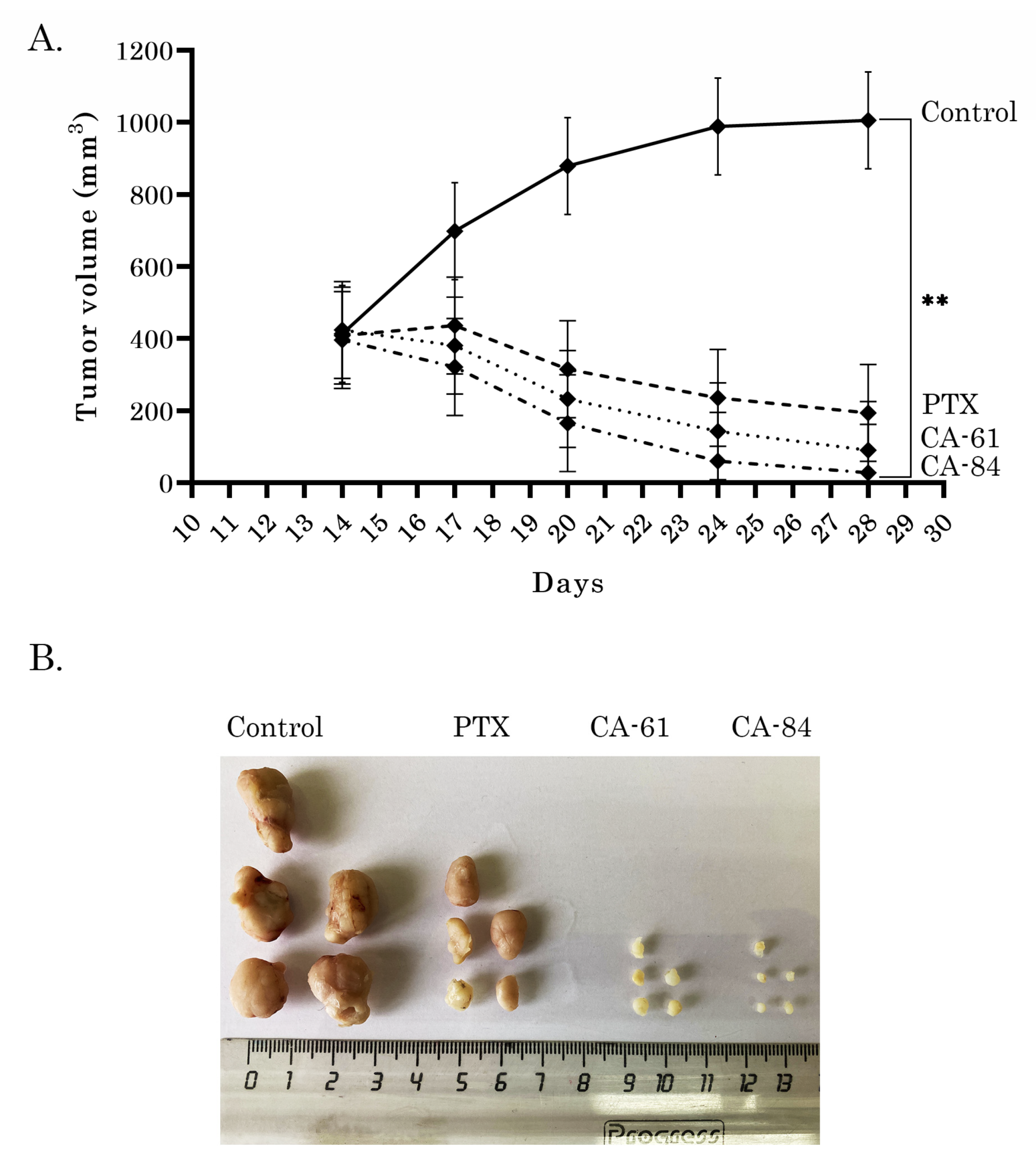 Molecules 26 05780 g013 Molecules 26 05780 g013