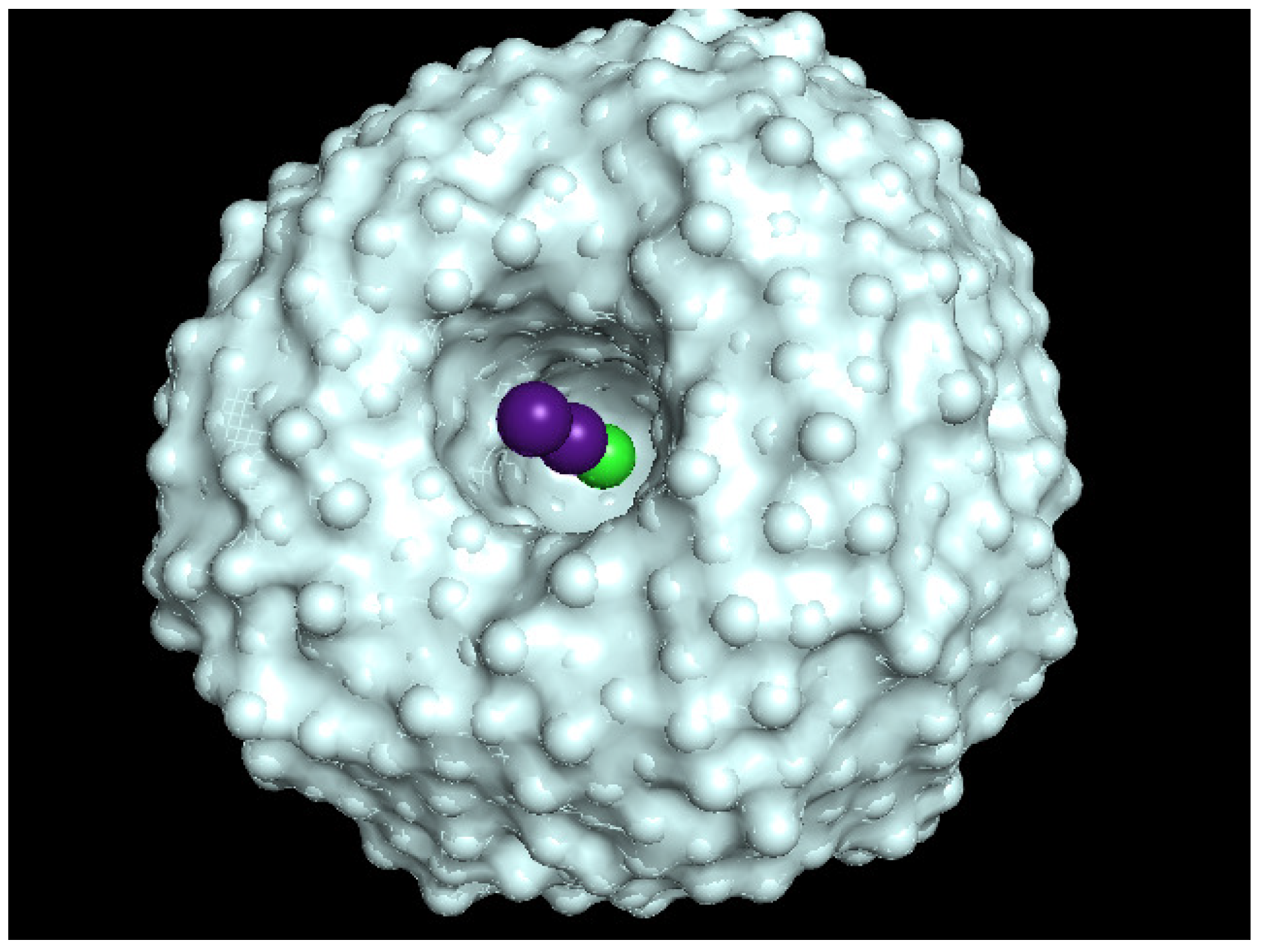 Molecules 26 05783 g011 Molecules 26 05783 g011