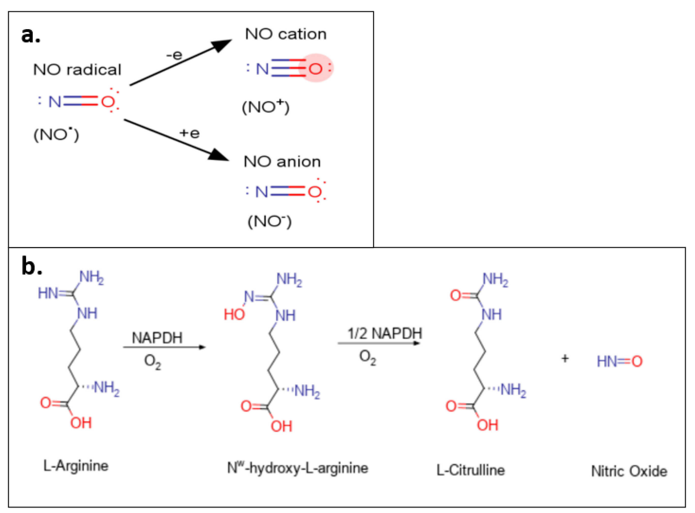 Molecules 26 05784 g001