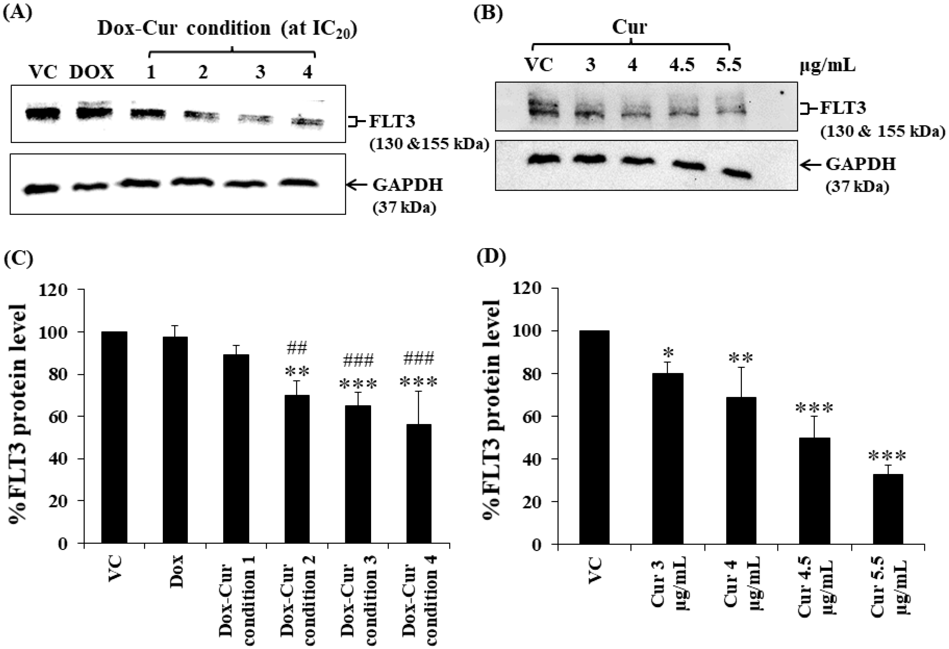 Molecules 26 05785 g004