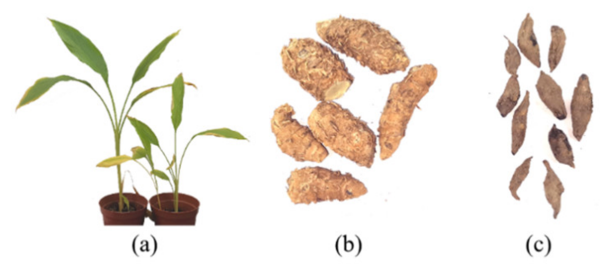 Molecules 26 05792 g001